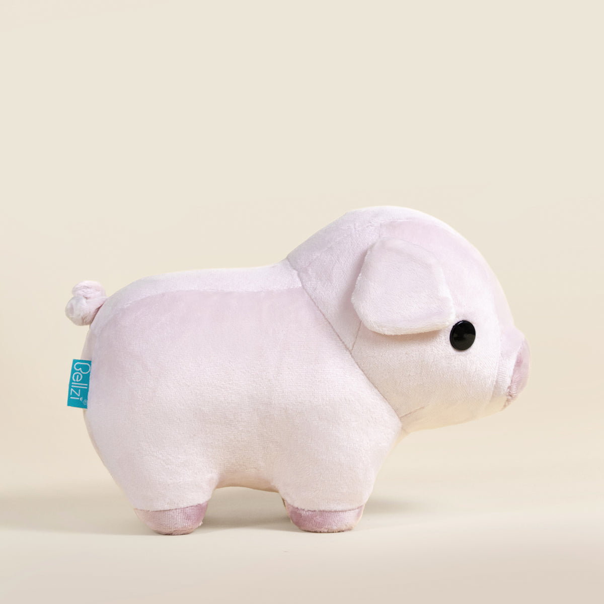 Piggi the Pig