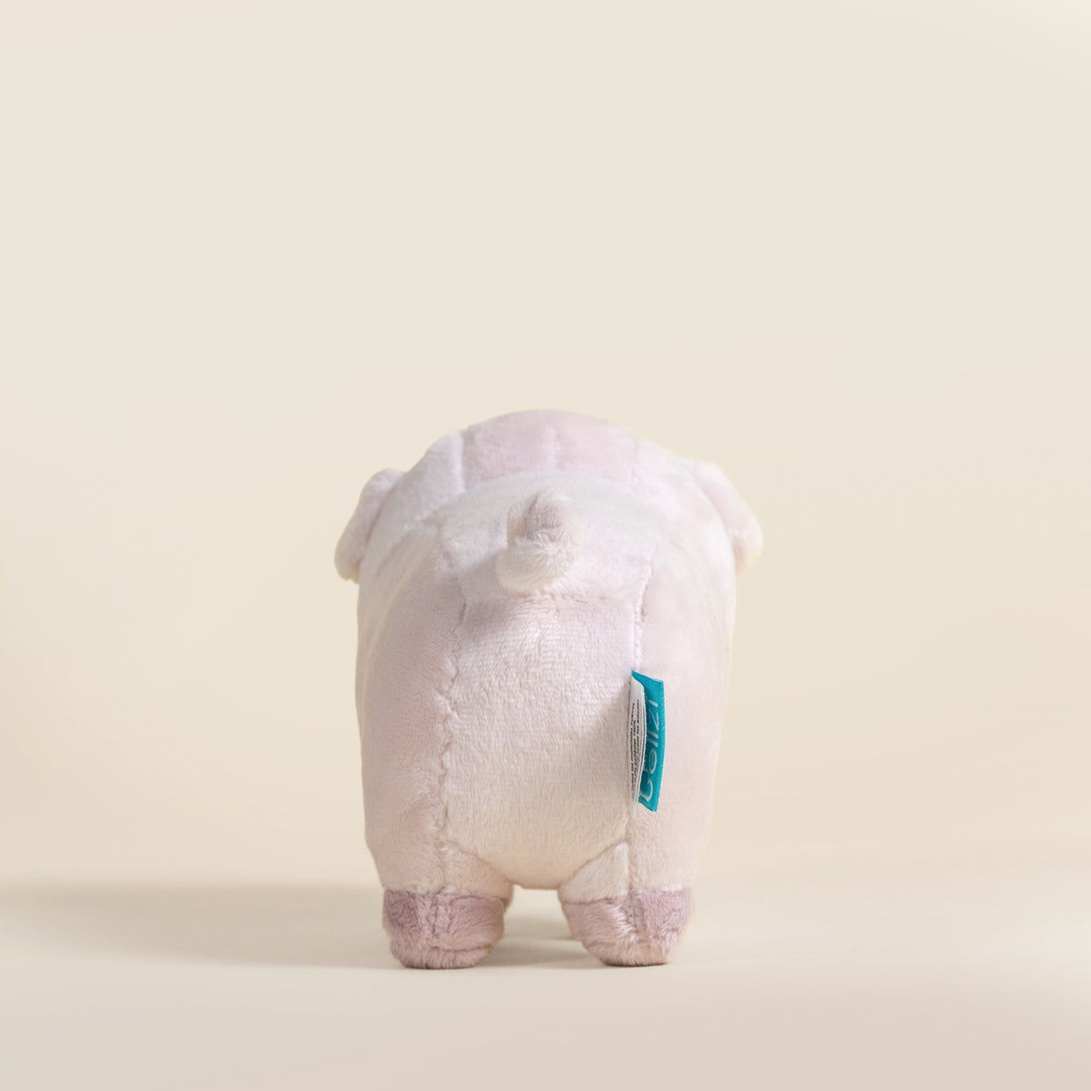 Mini Piggi the Pig