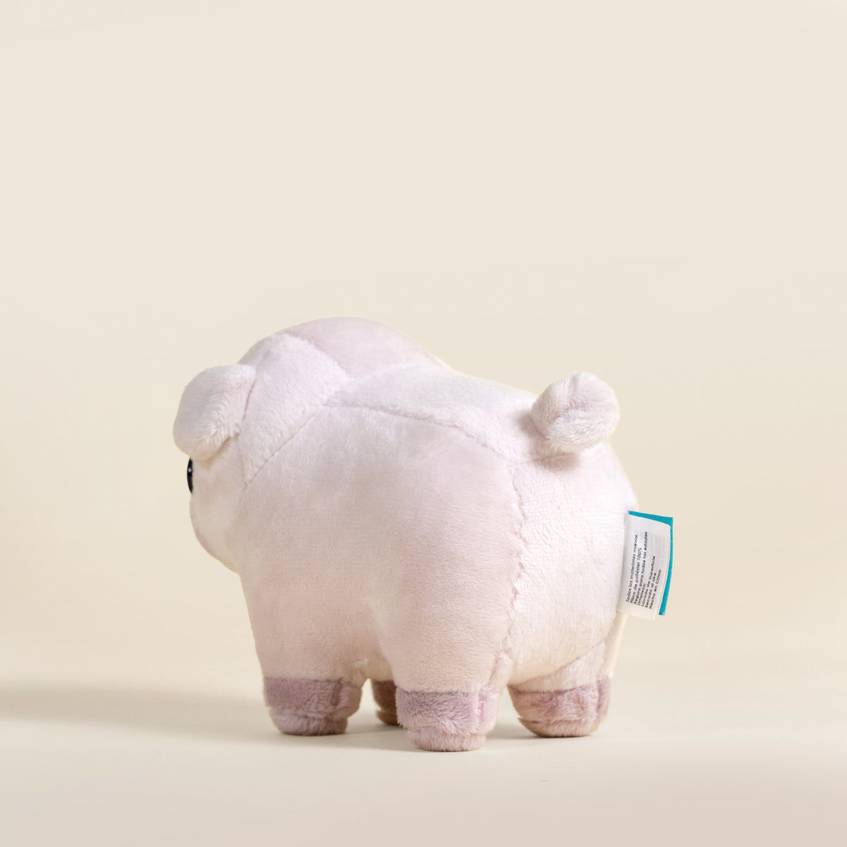 Mini Piggi the Pig