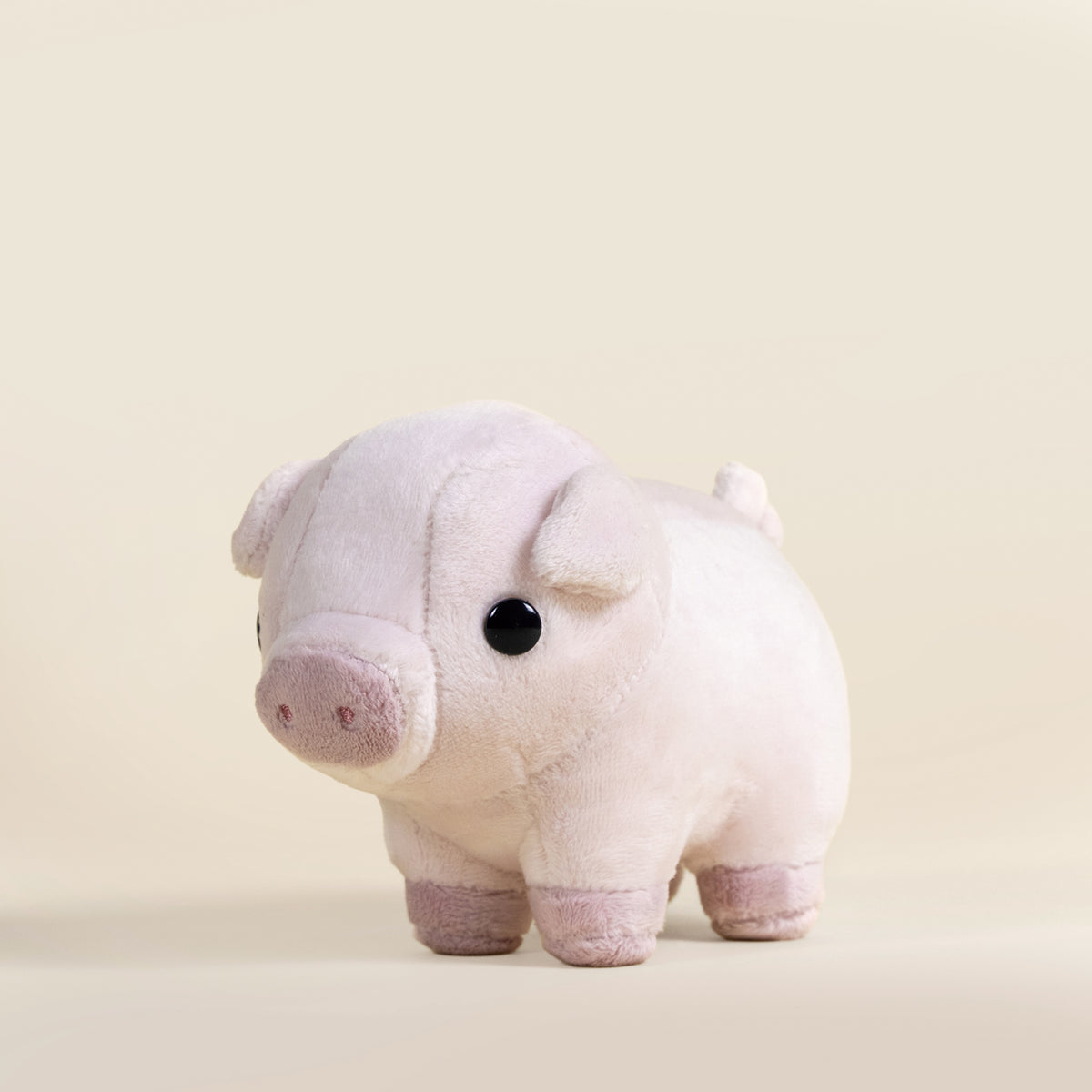Mini Piggi the Pig