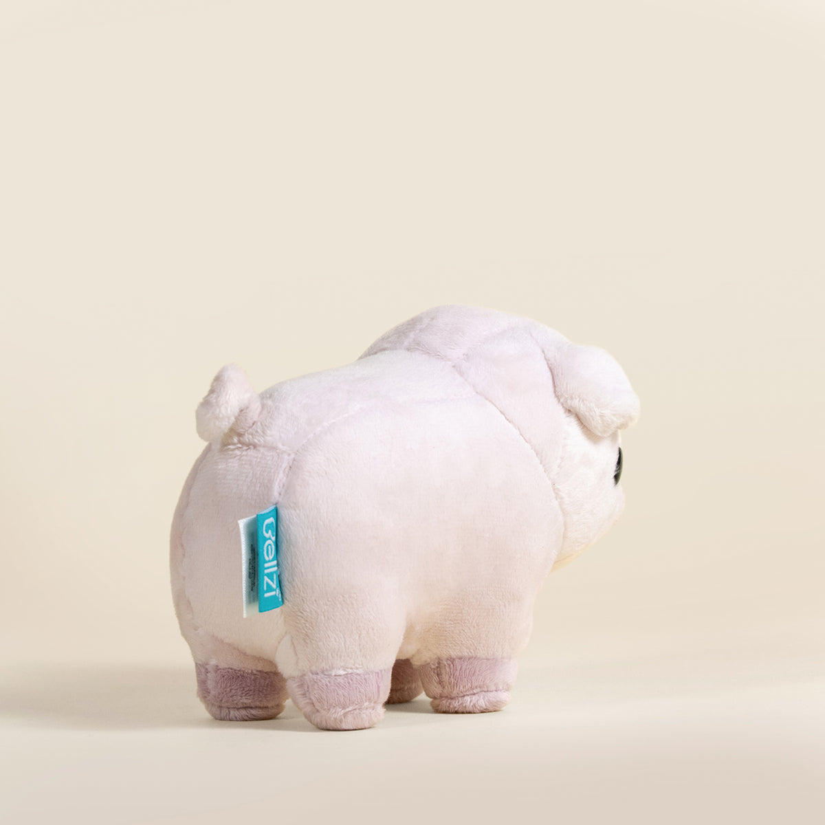 Mini Piggi the Pig