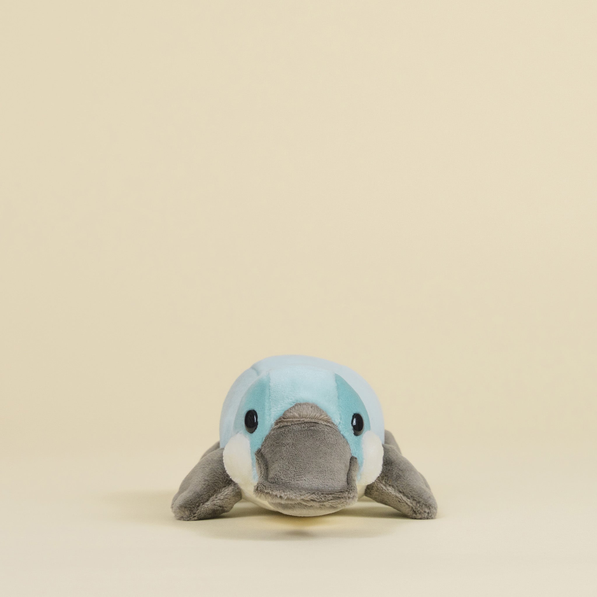 Mini Plati the Platypus