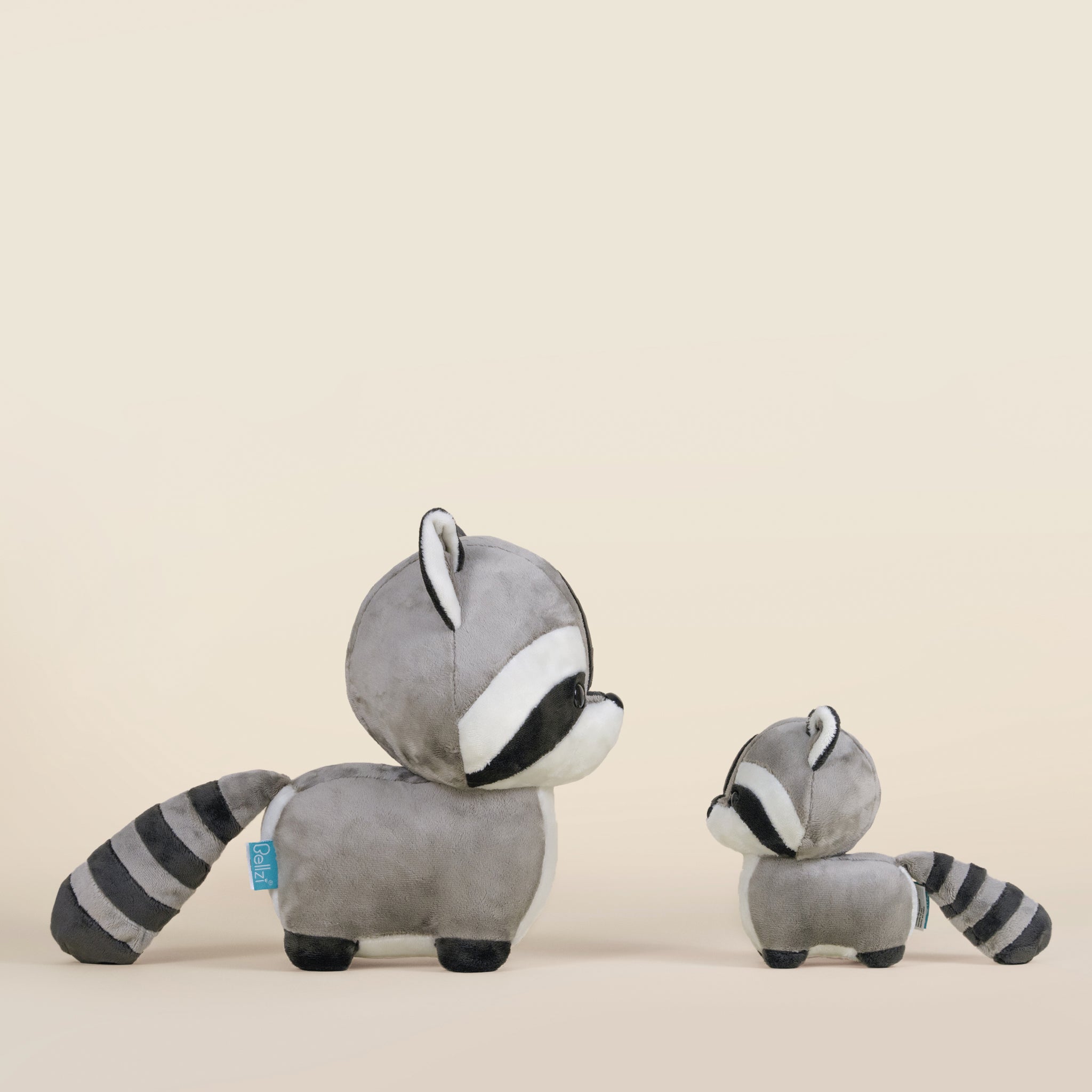 Raccooni the Raccoon