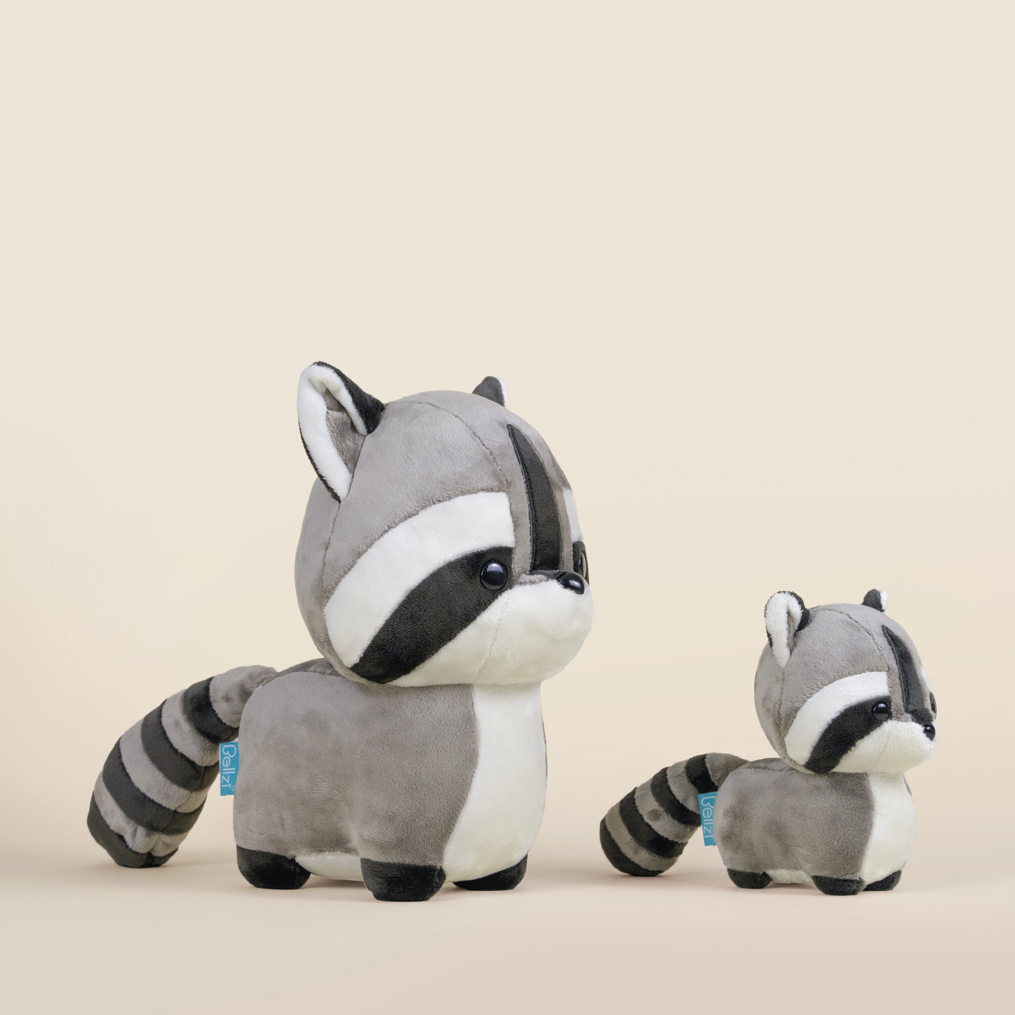 Raccooni the Raccoon