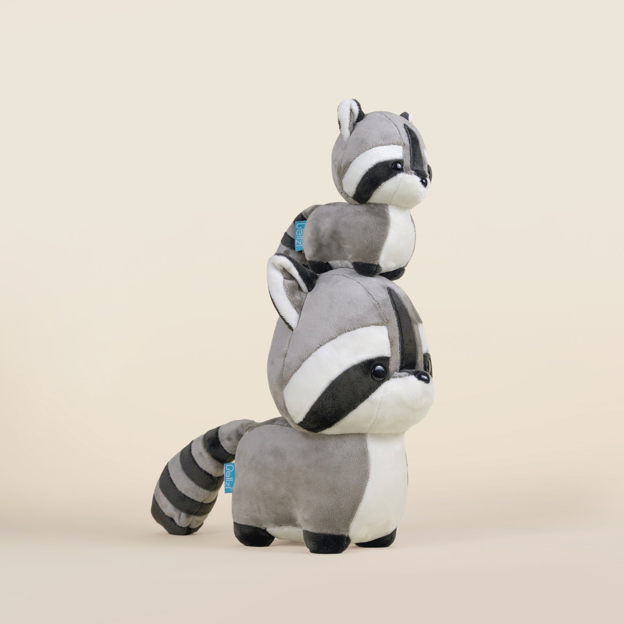 Mini Raccooni the Raccoon