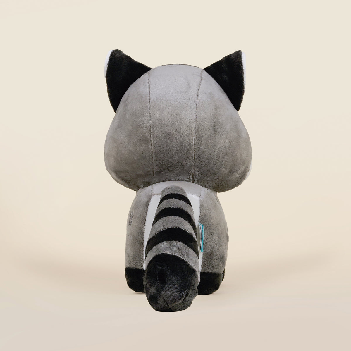 Raccooni the Raccoon