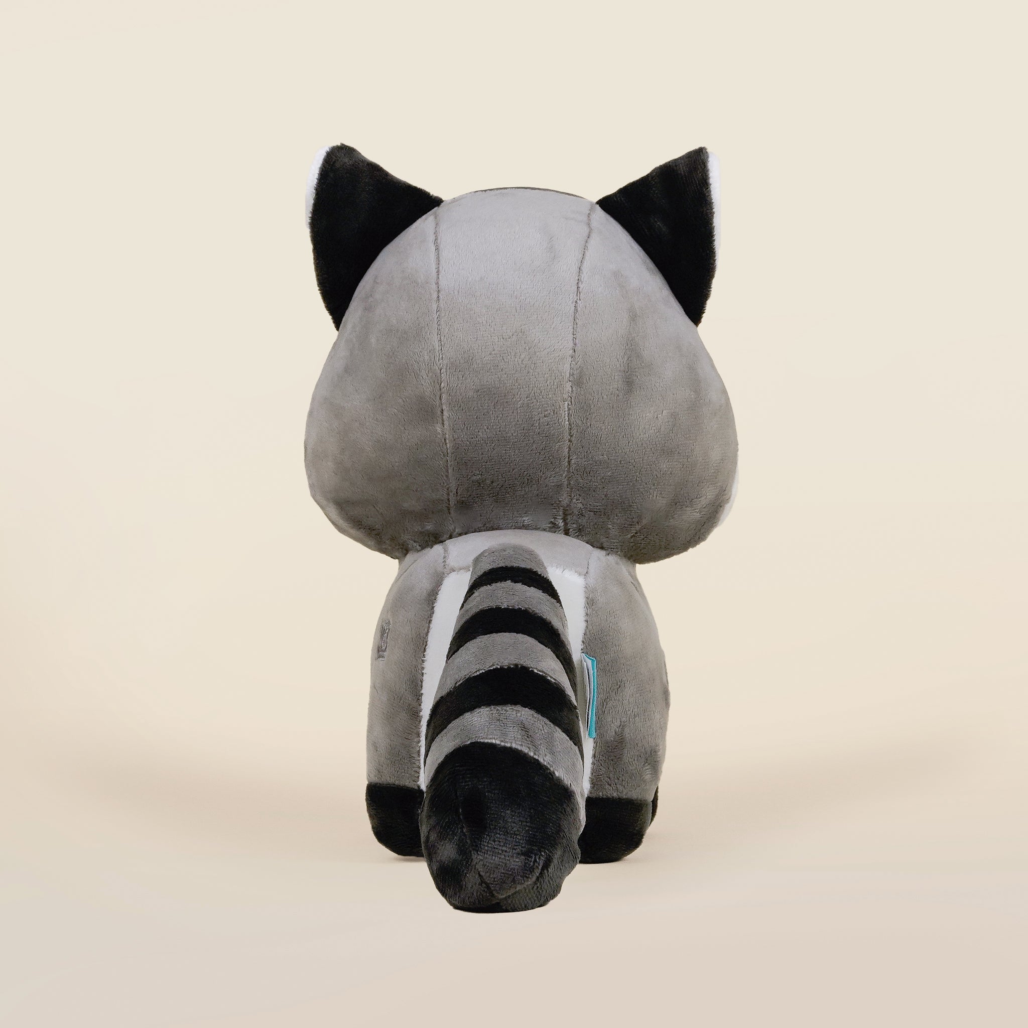 Raccooni the Raccoon