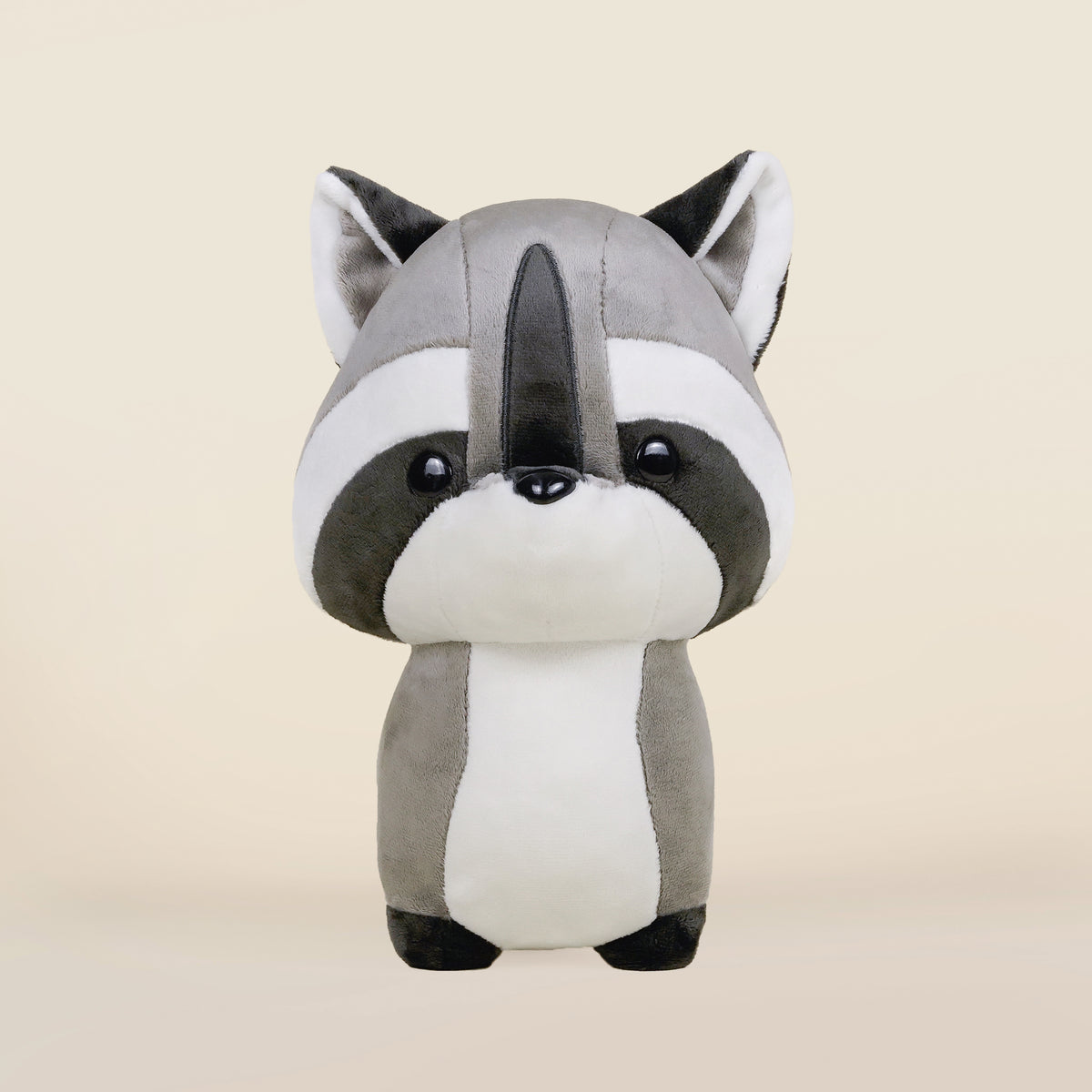 Raccooni the Raccoon