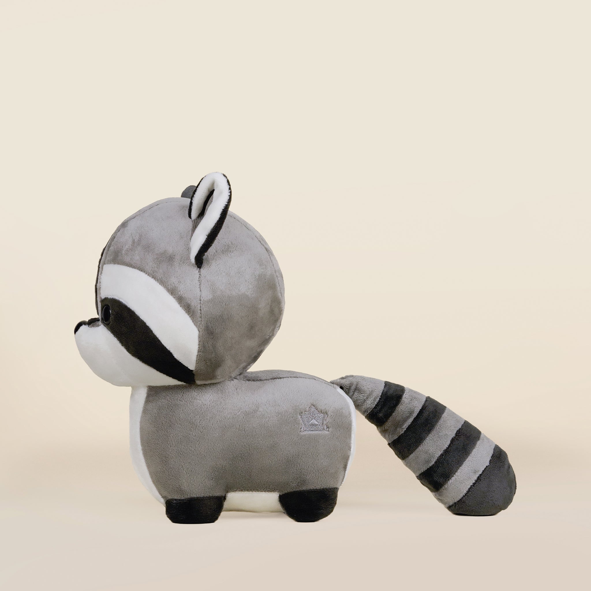 Raccooni the Raccoon