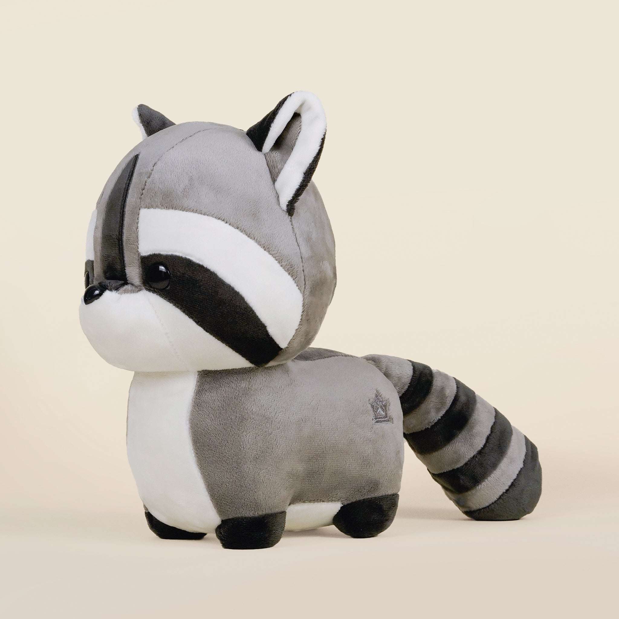 Raccooni the Raccoon