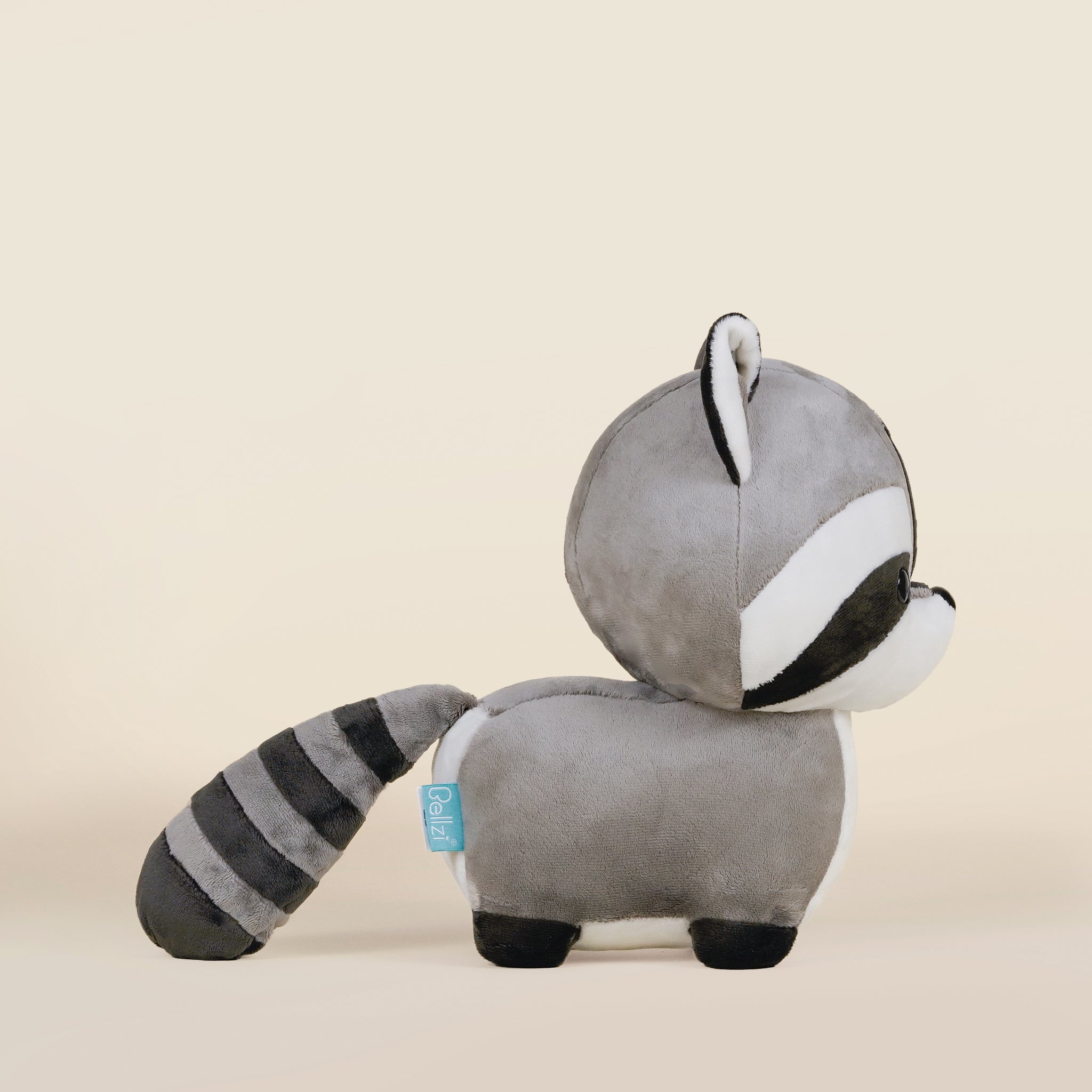 Raccooni the Raccoon