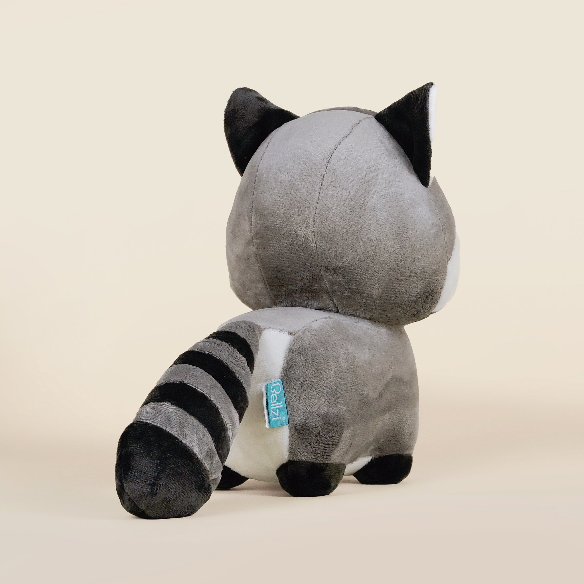 Raccooni the Raccoon