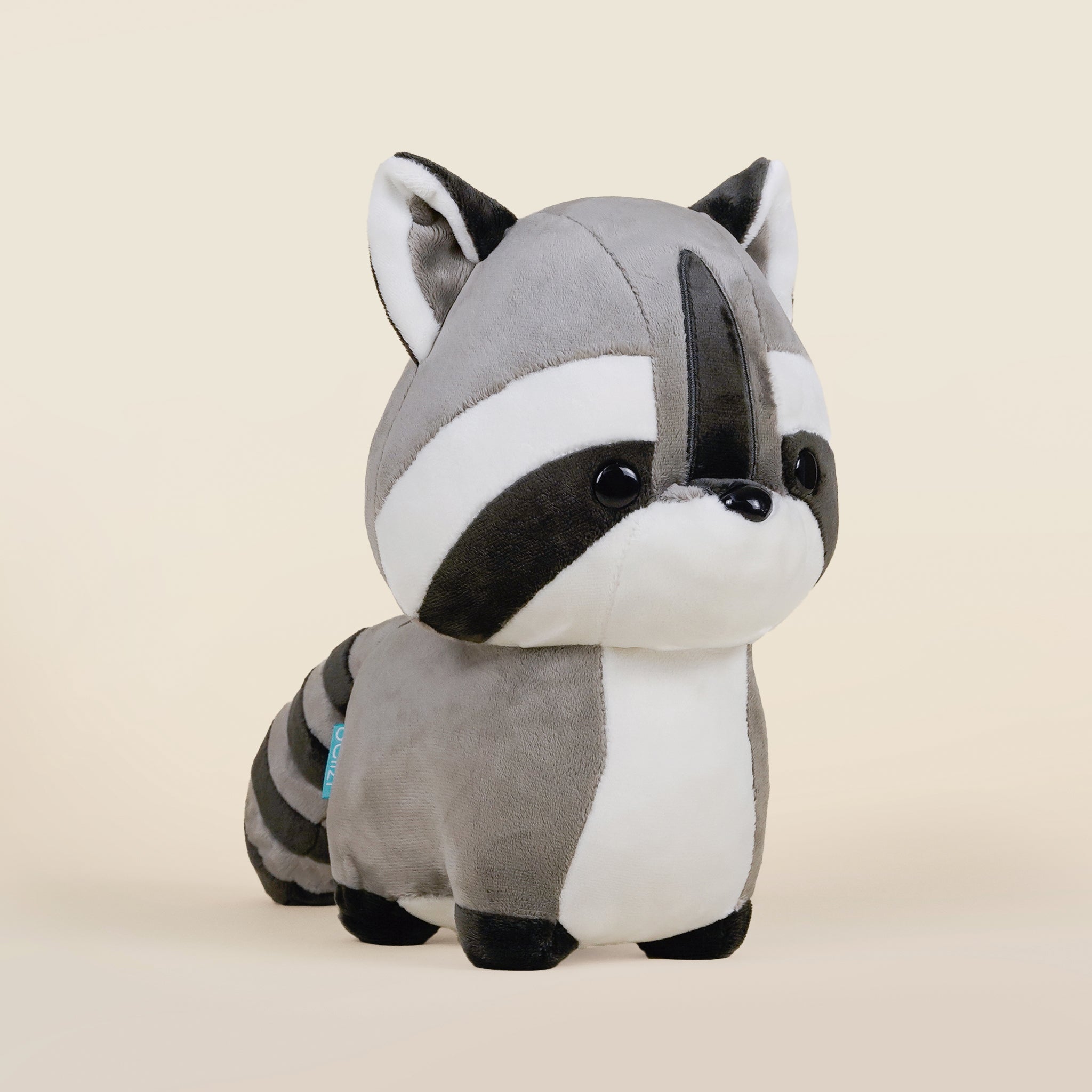 Raccooni the Raccoon