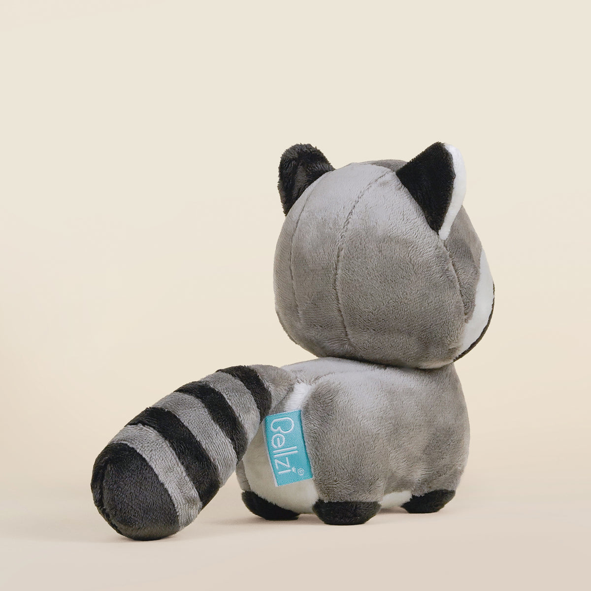 Mini Raccooni the Raccoon