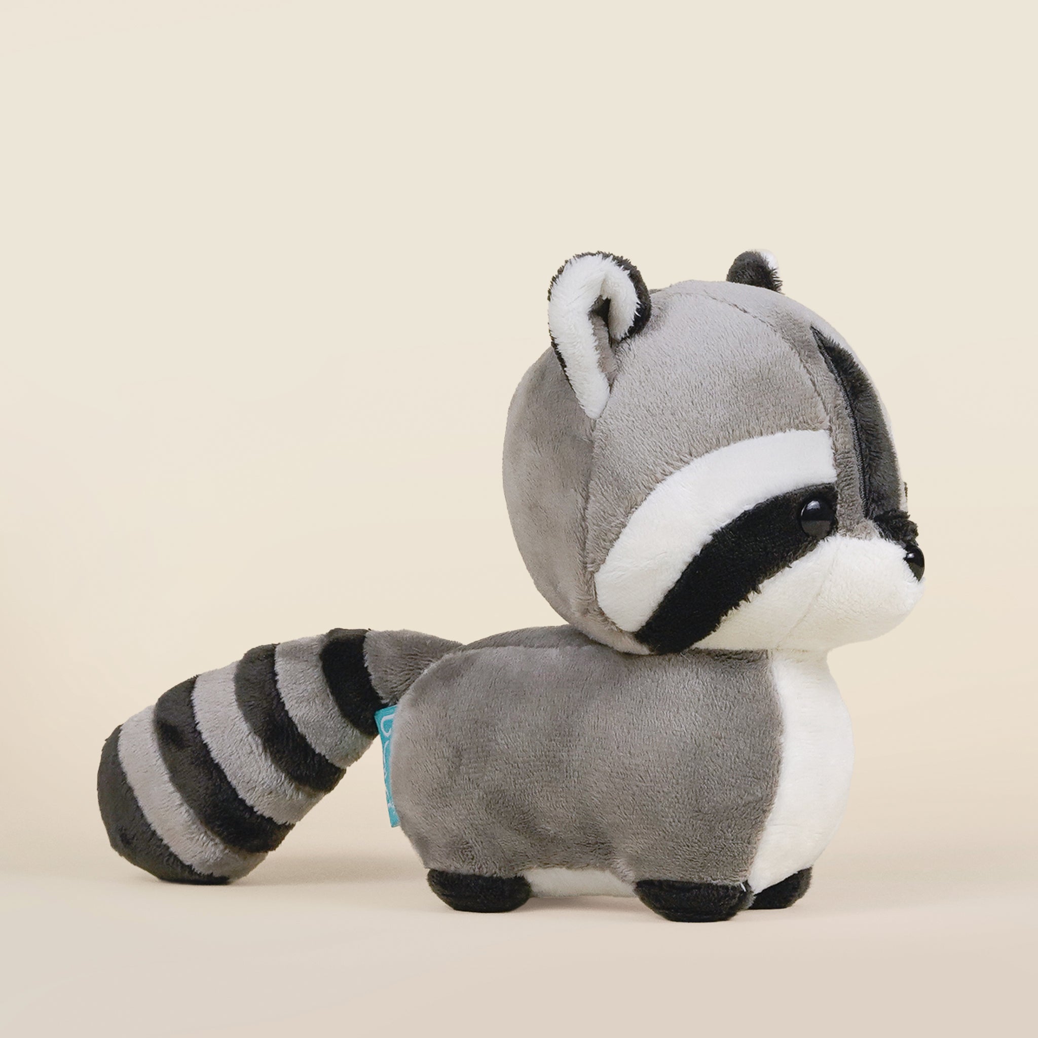 Mini Raccooni the Raccoon