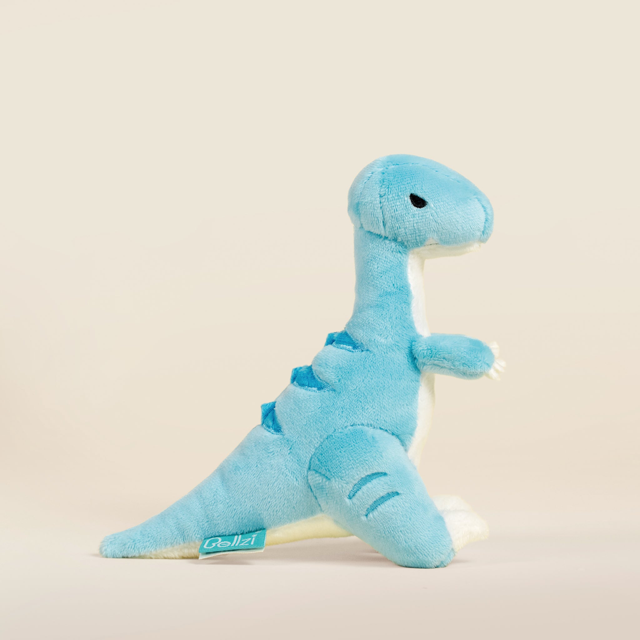 Mini Rapti the Raptor Dinosaur