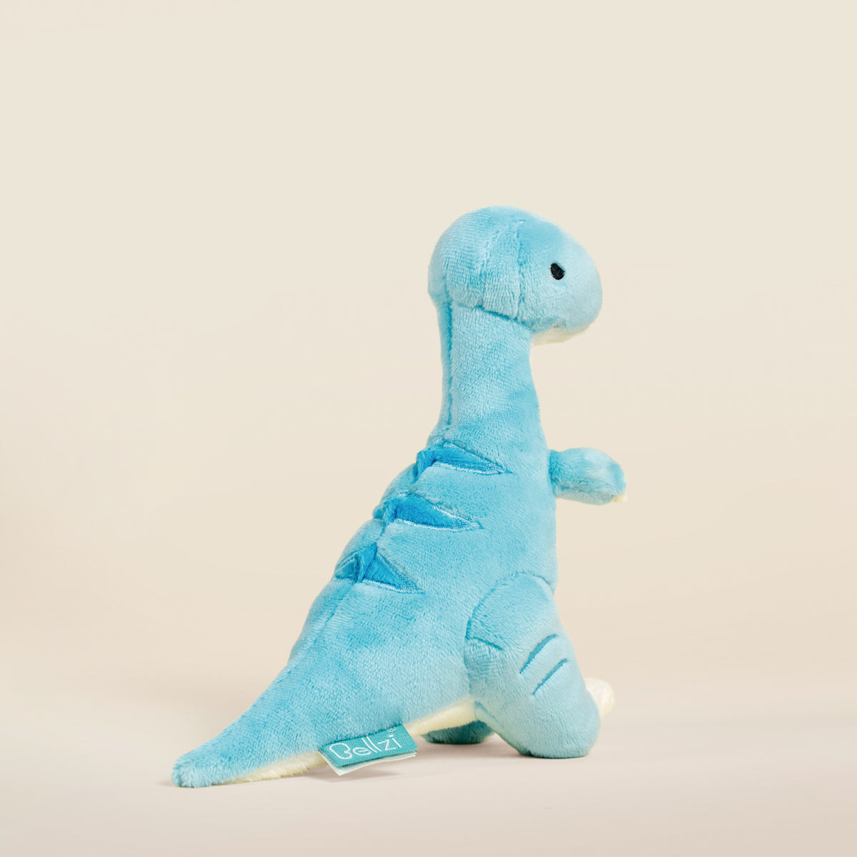 Mini Rapti the Raptor Dinosaur