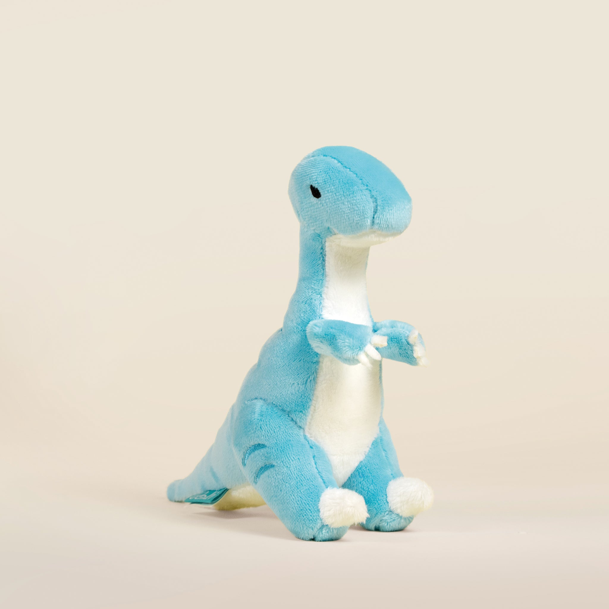 Mini Rapti the Raptor Dinosaur