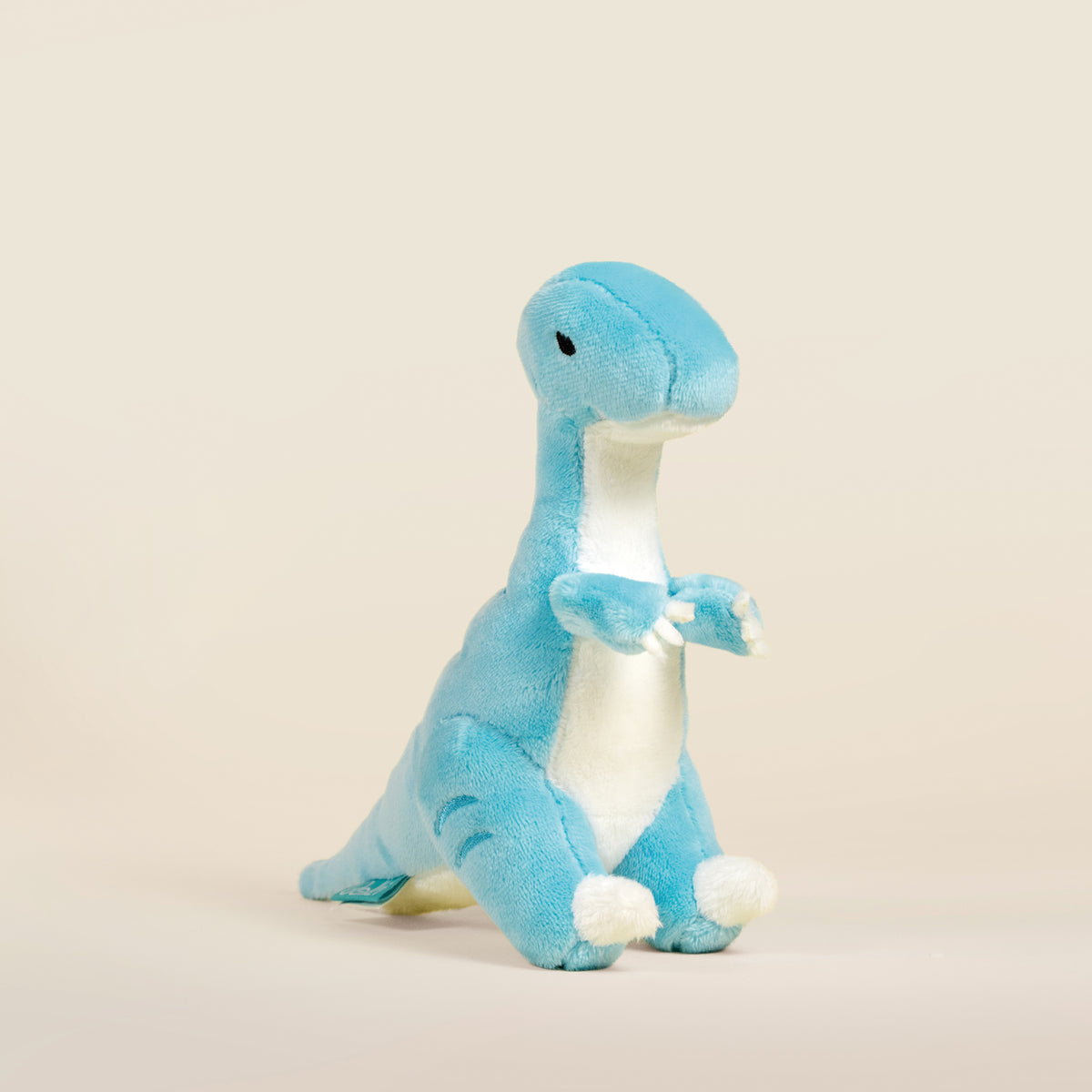 Mini Rapti the Raptor Dinosaur