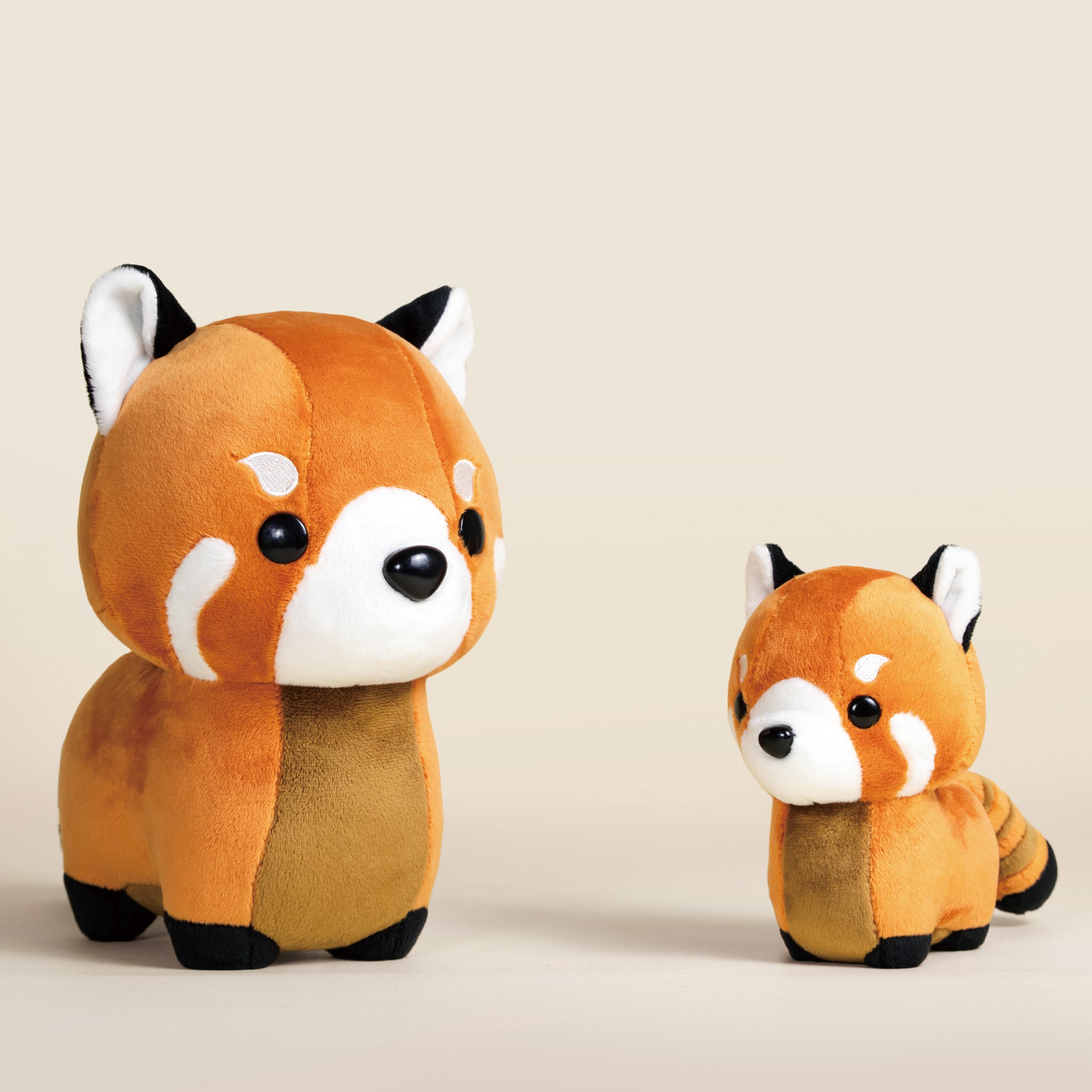 Red Pandi the Red Panda
