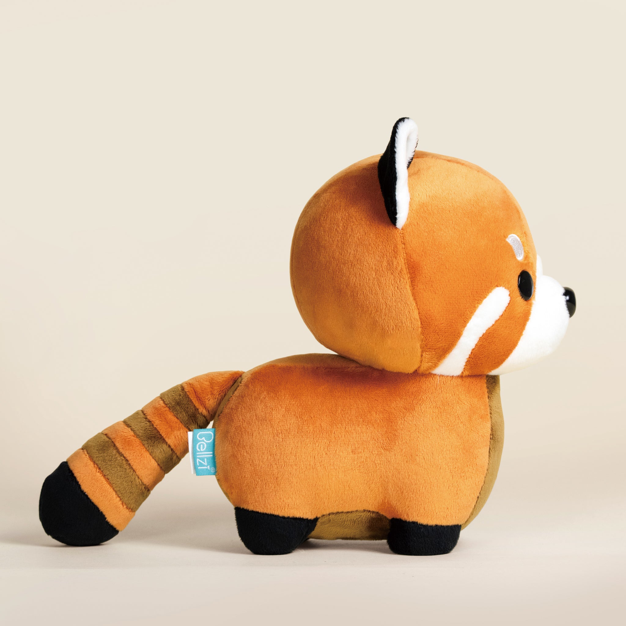 Red Pandi the Red Panda