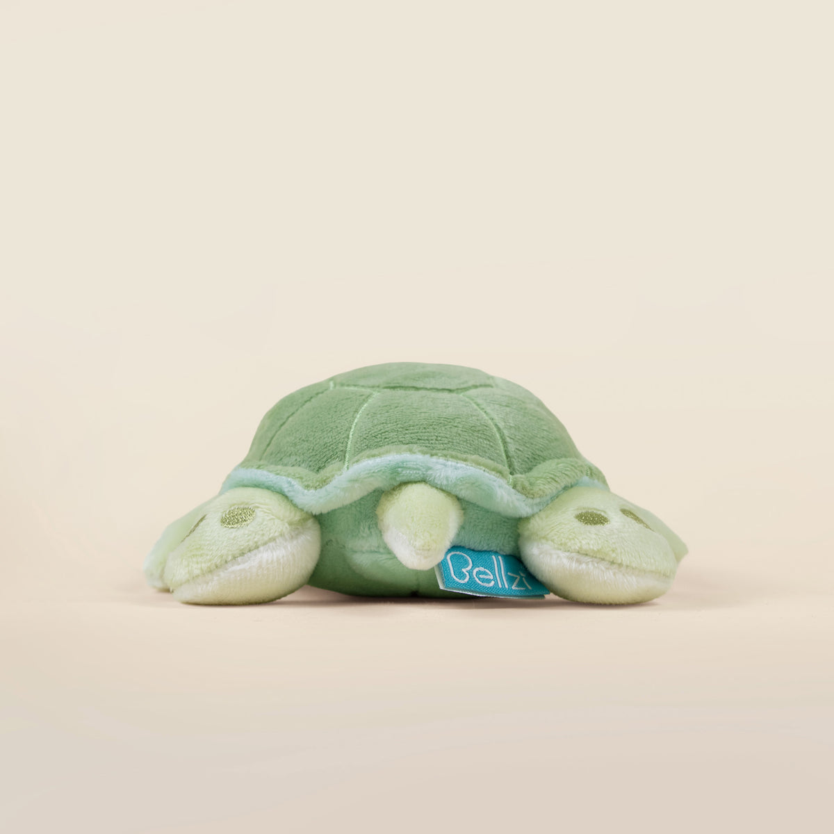 Mini Sea Torti the Sea Turtle