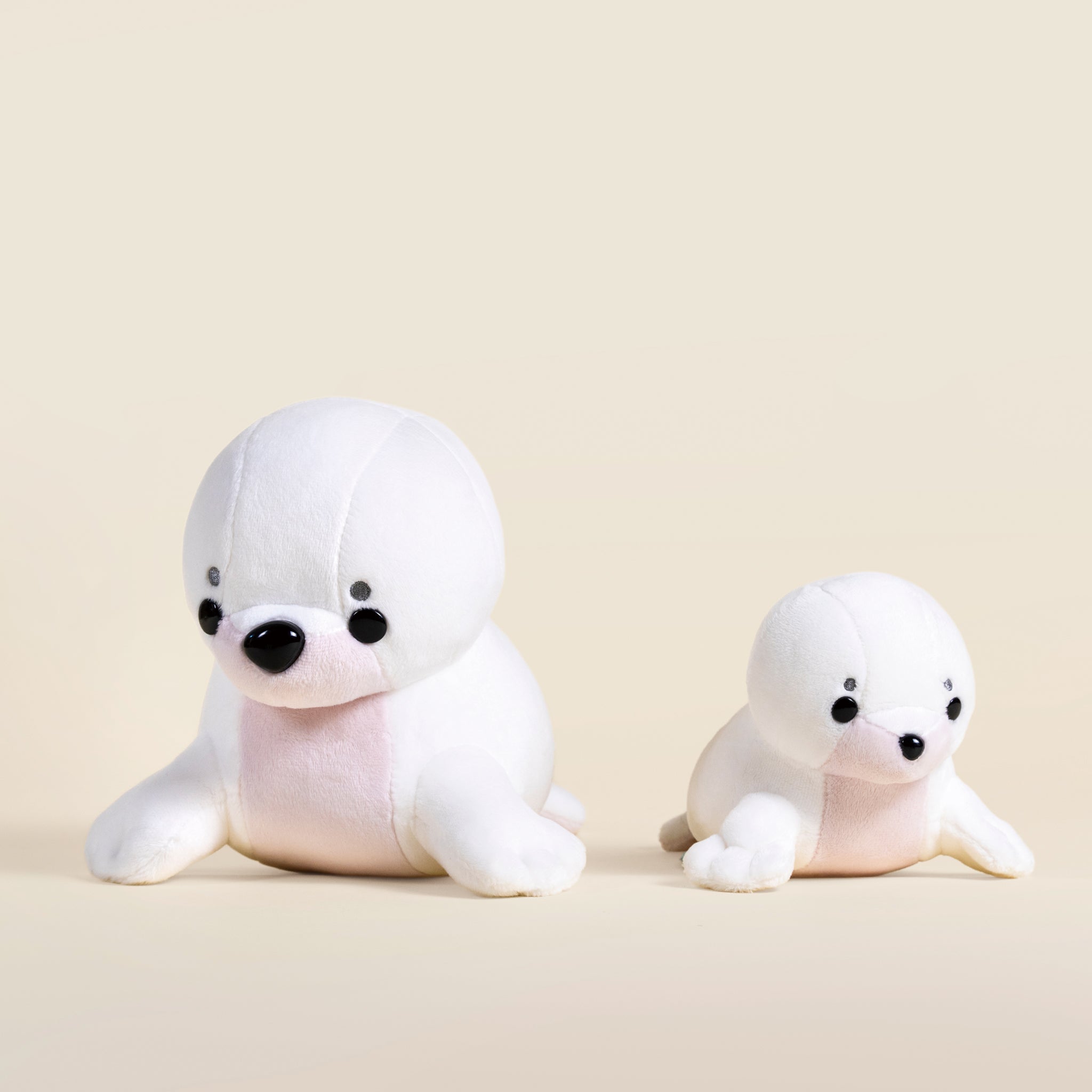Seali the Seal