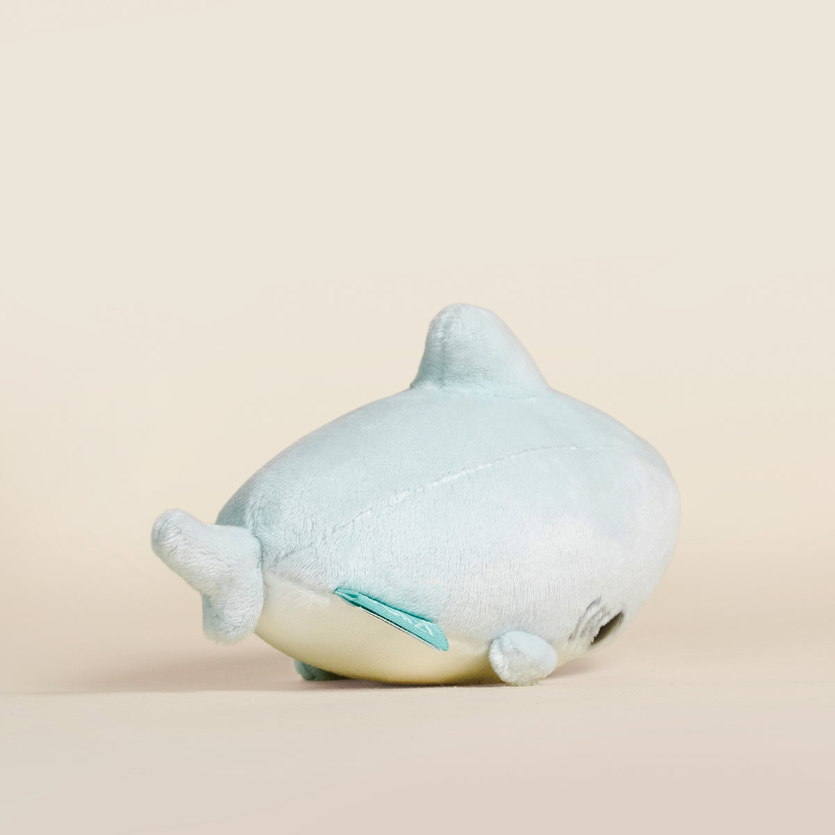 Mini Sharki the Shark