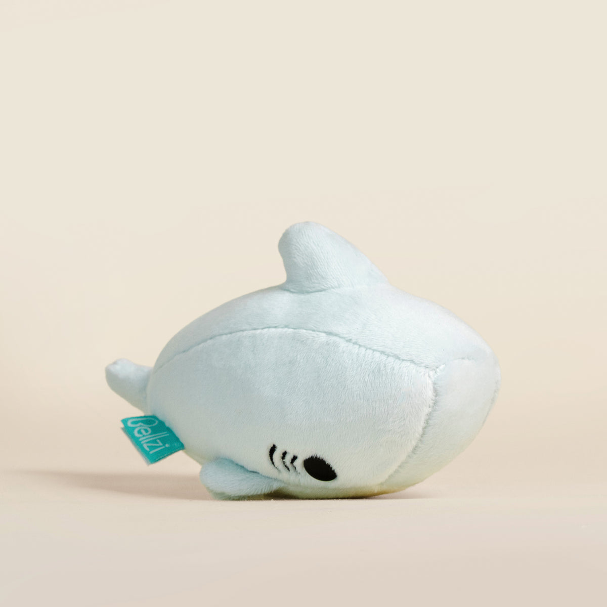 Mini Sharki the Shark