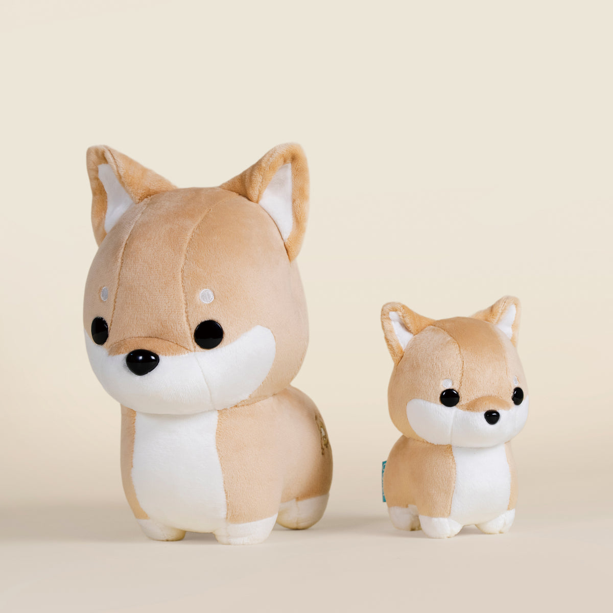 Mini Shibi the Shiba Inu