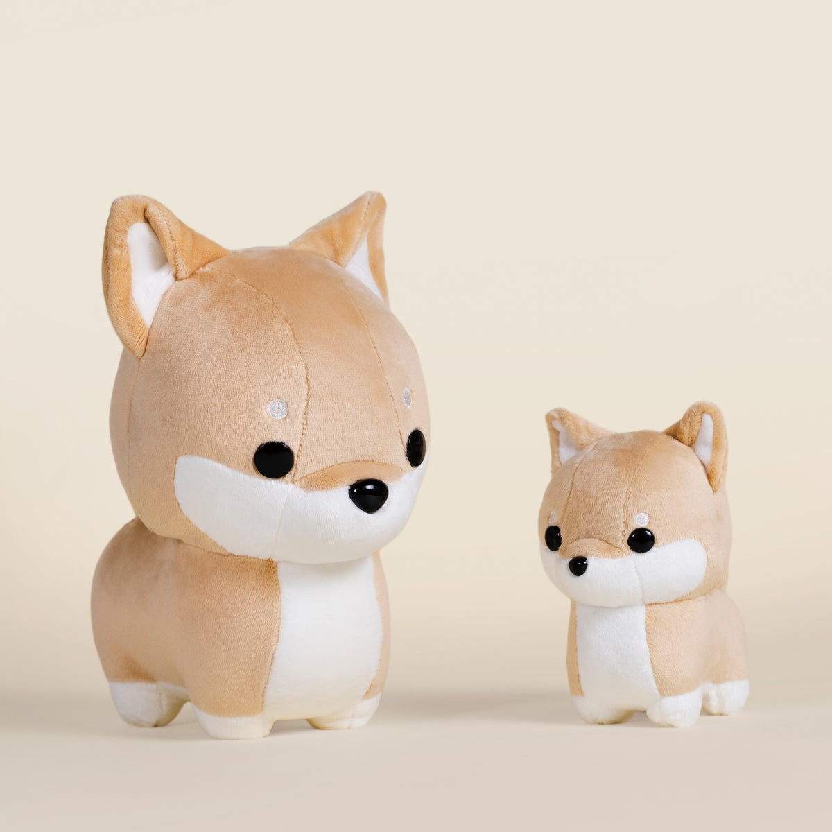 Mini Shibi the Shiba Inu