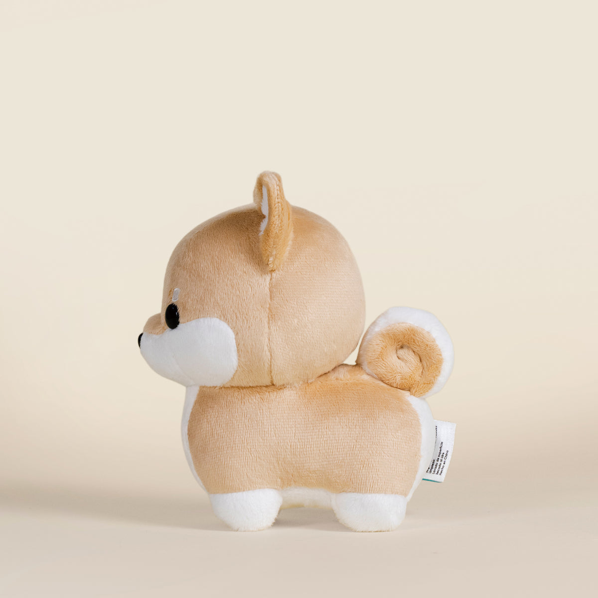 Mini Shibi the Shiba Inu