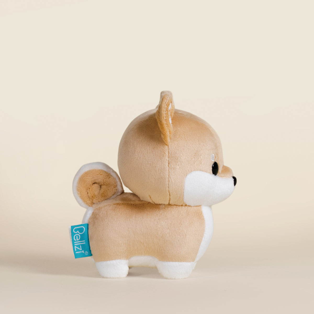 Mini Shibi the Shiba Inu