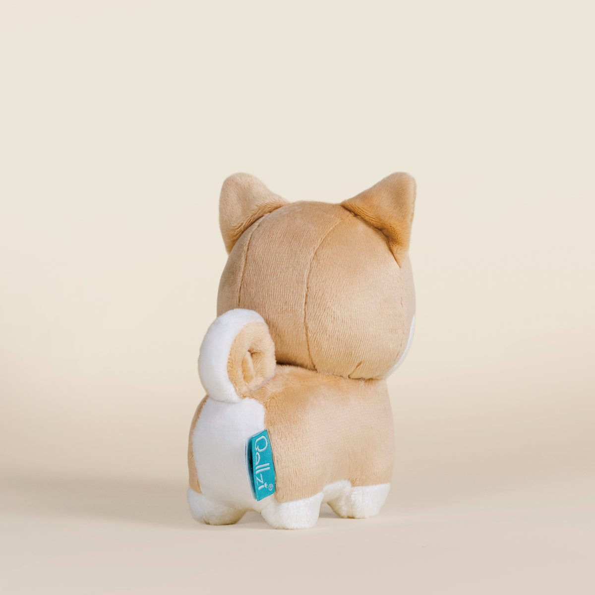 Mini Shibi the Shiba Inu