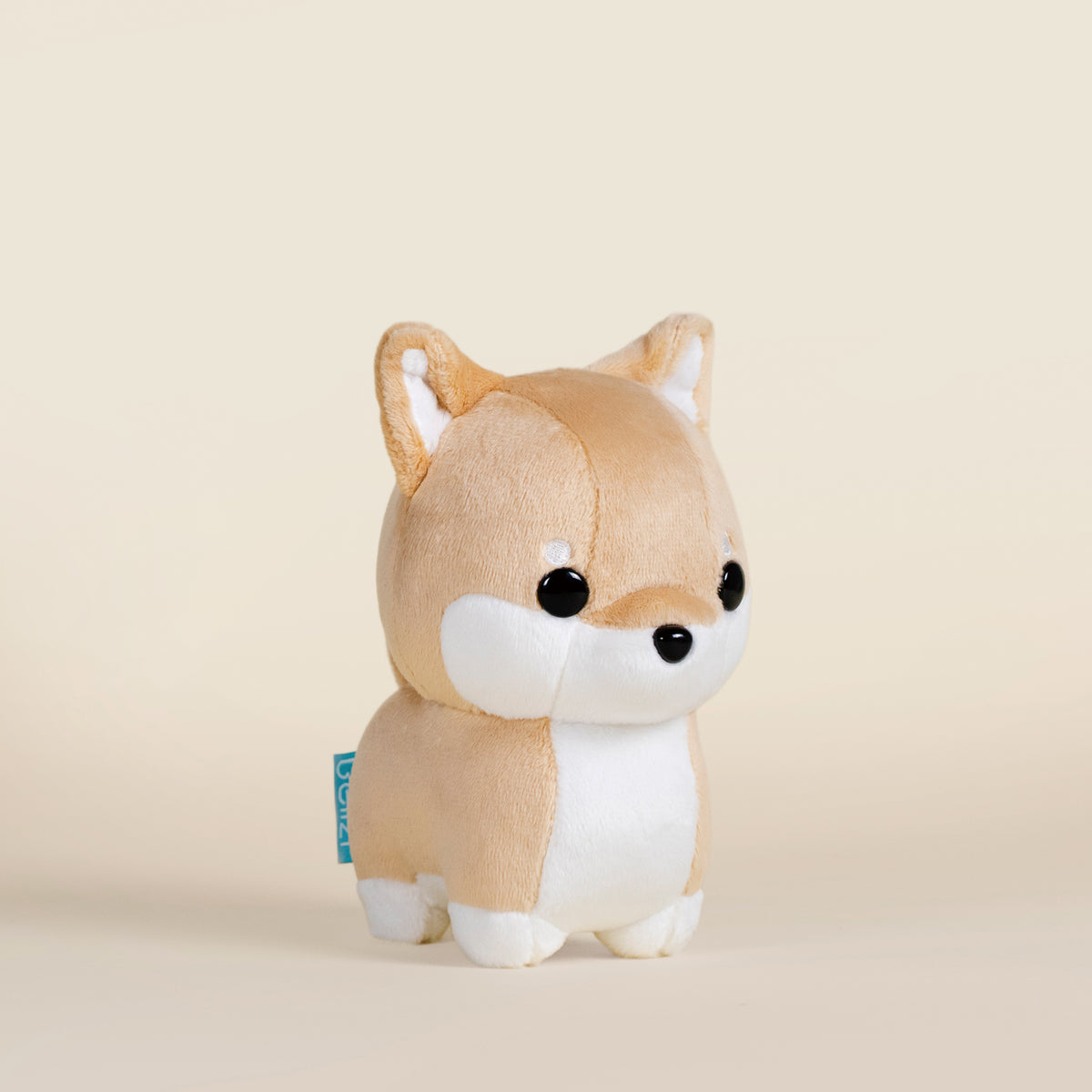 Mini Shibi the Shiba Inu