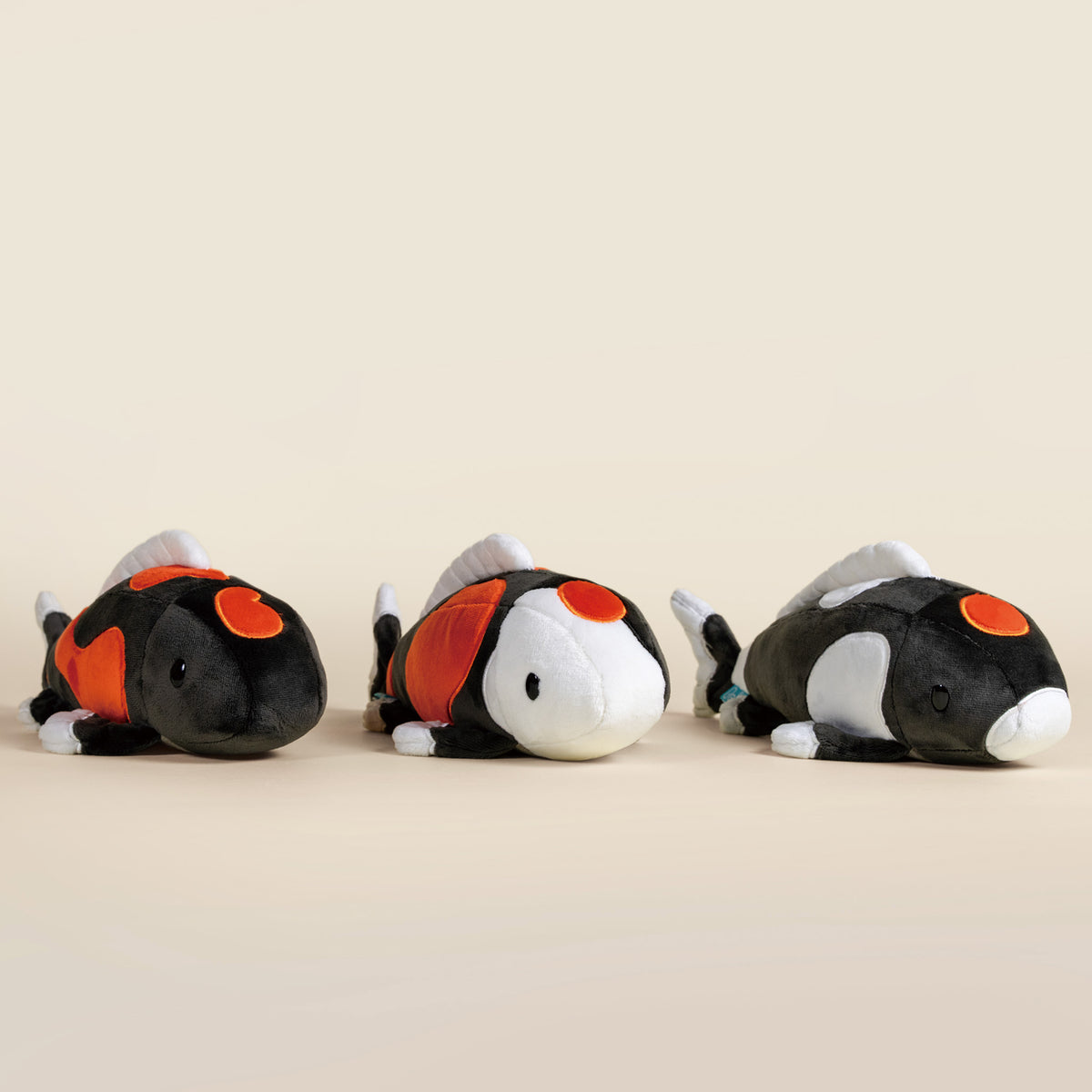 Showa Koi the Koi Fish- Mystery Style