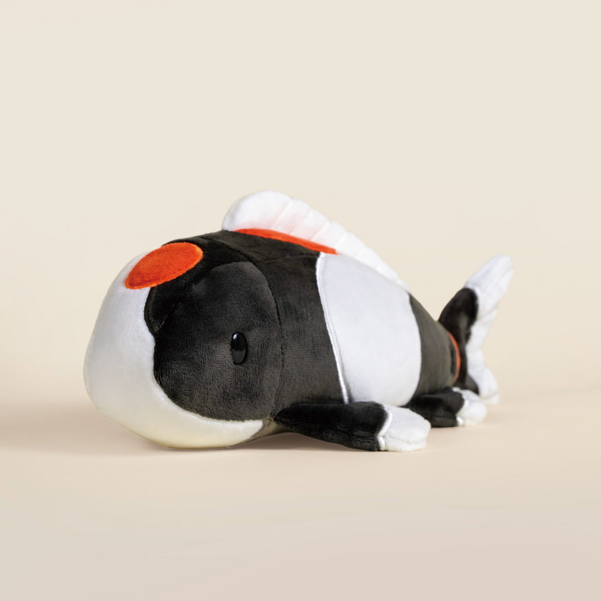 Showa Koi the Koi Fish- Mystery Style