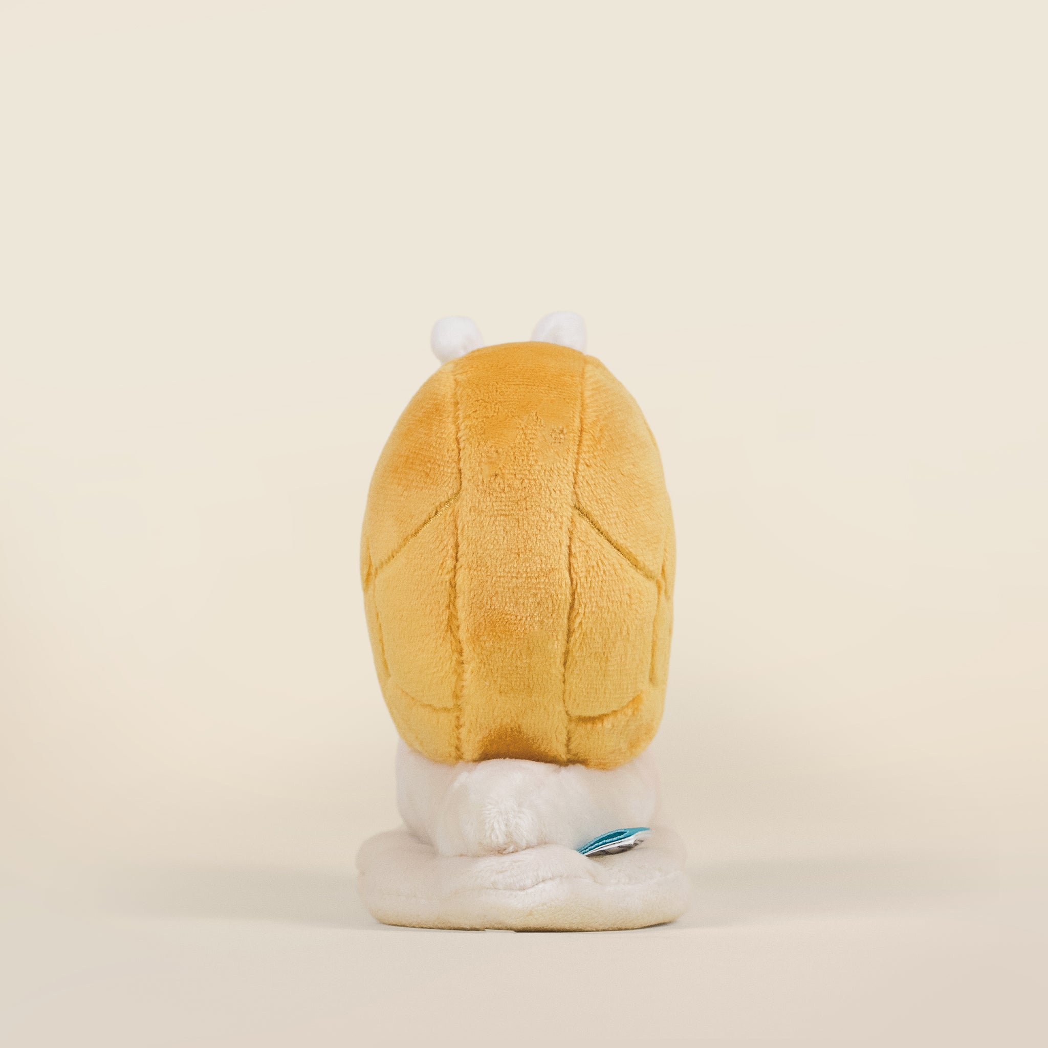 Mini Snaili the Snail