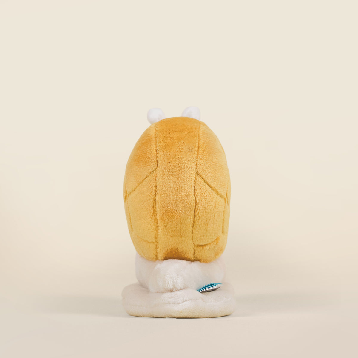 Mini Snaili the Snail