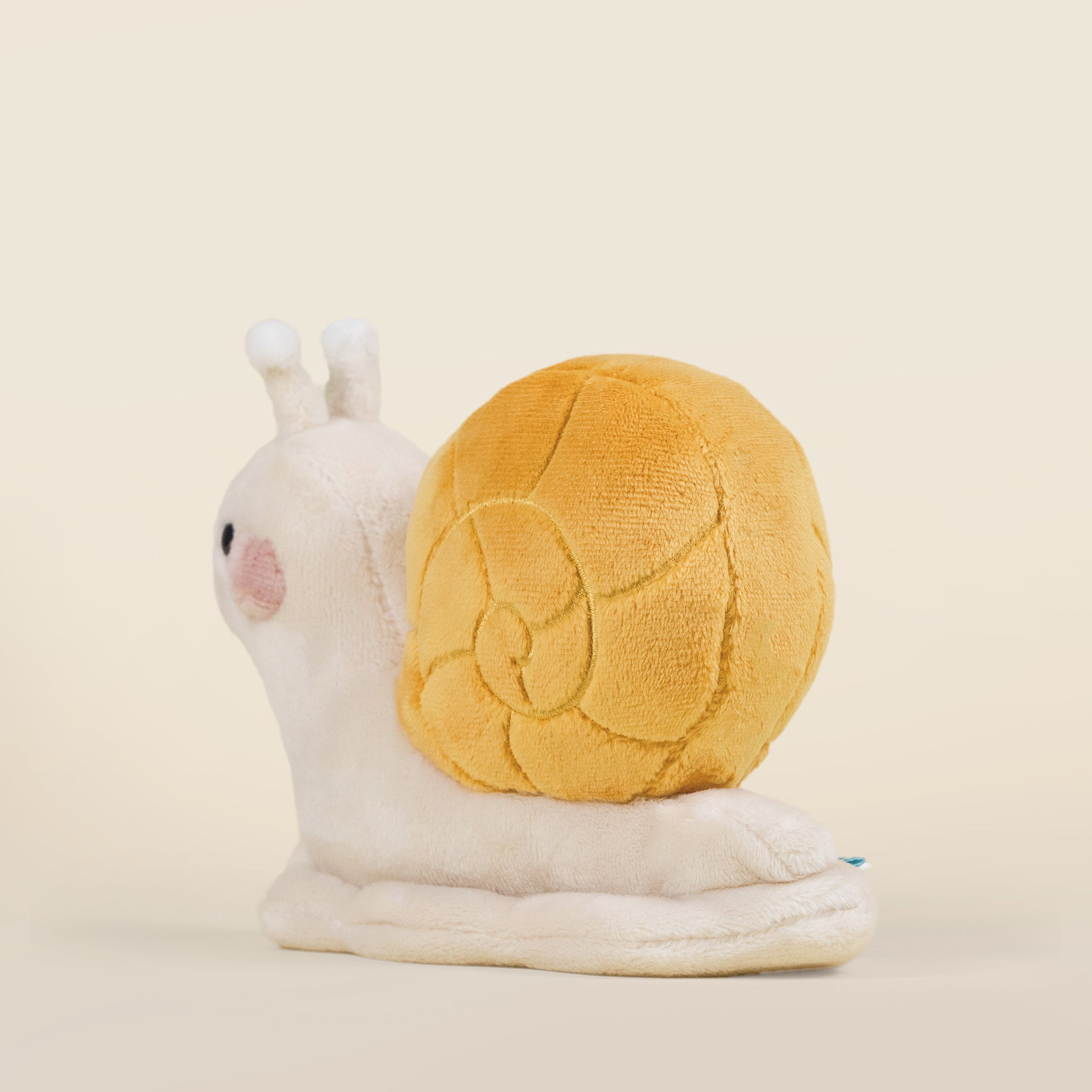 Mini Snaili the Snail