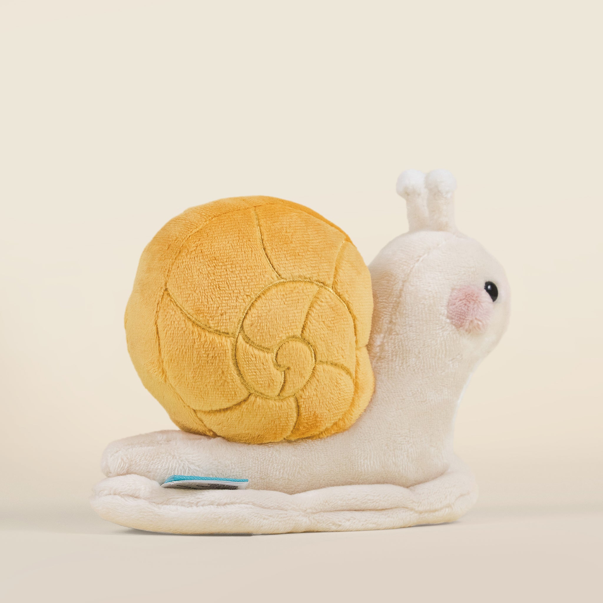 Mini Snaili the Snail