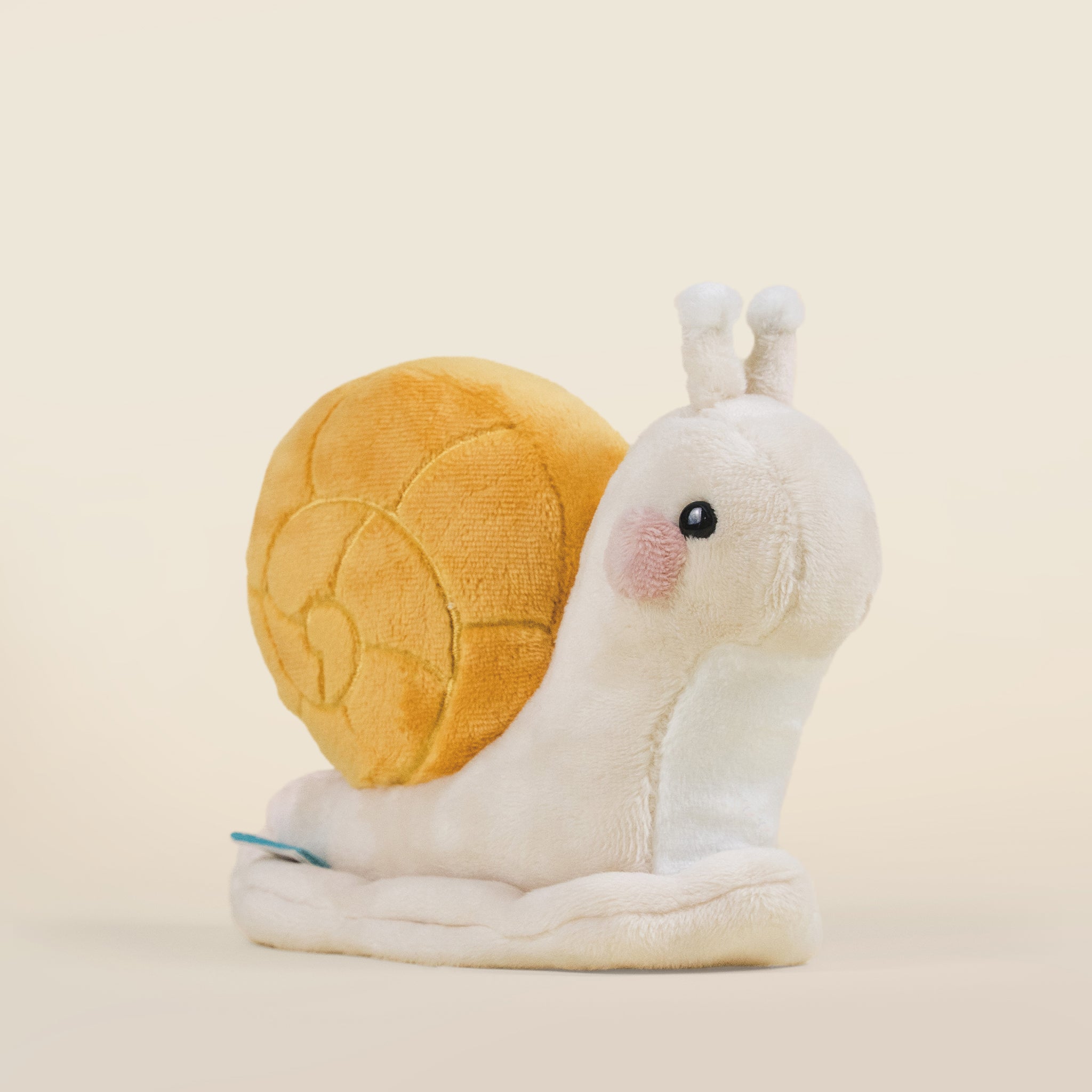 Mini Snaili the Snail