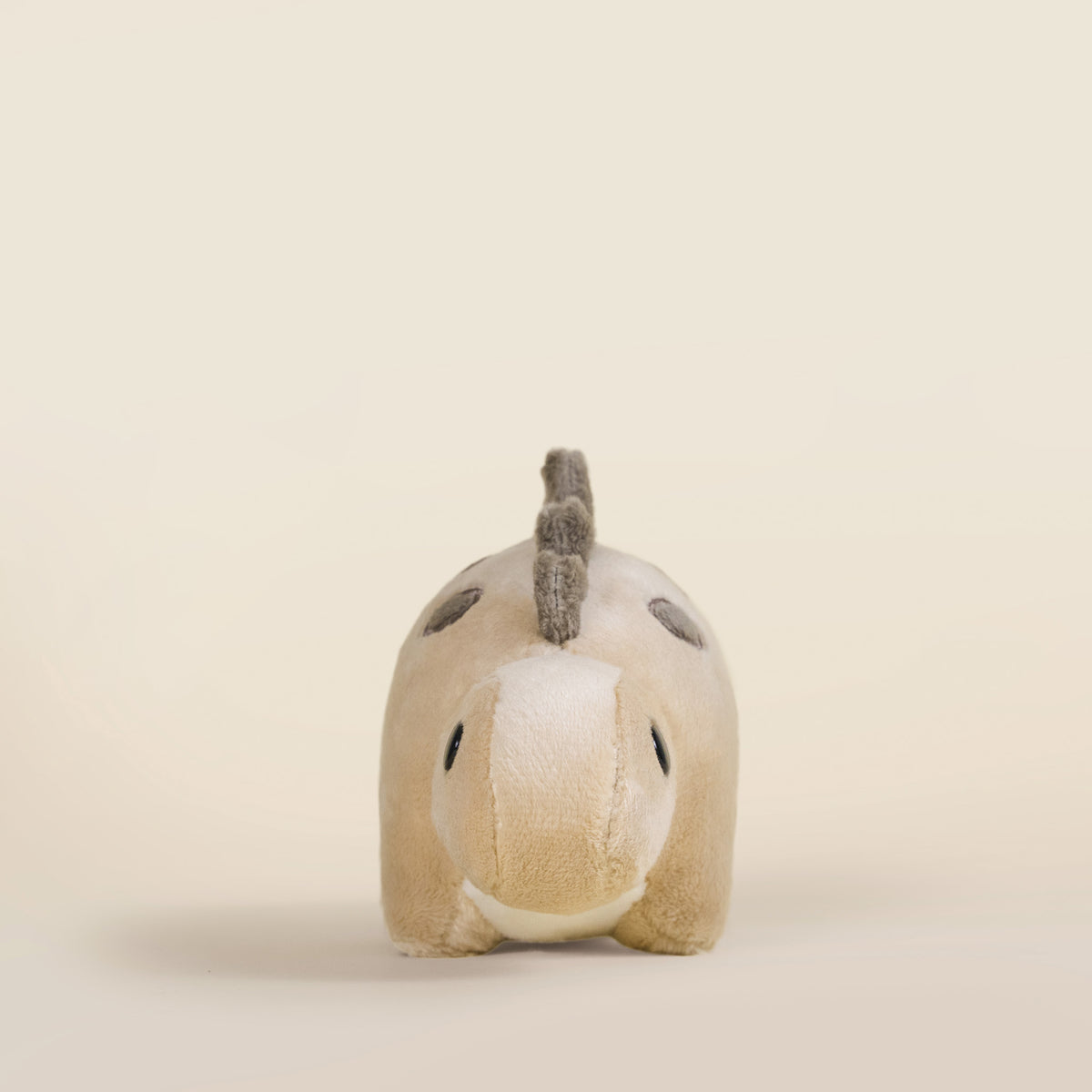 Mini Steggi the Stegosaurus