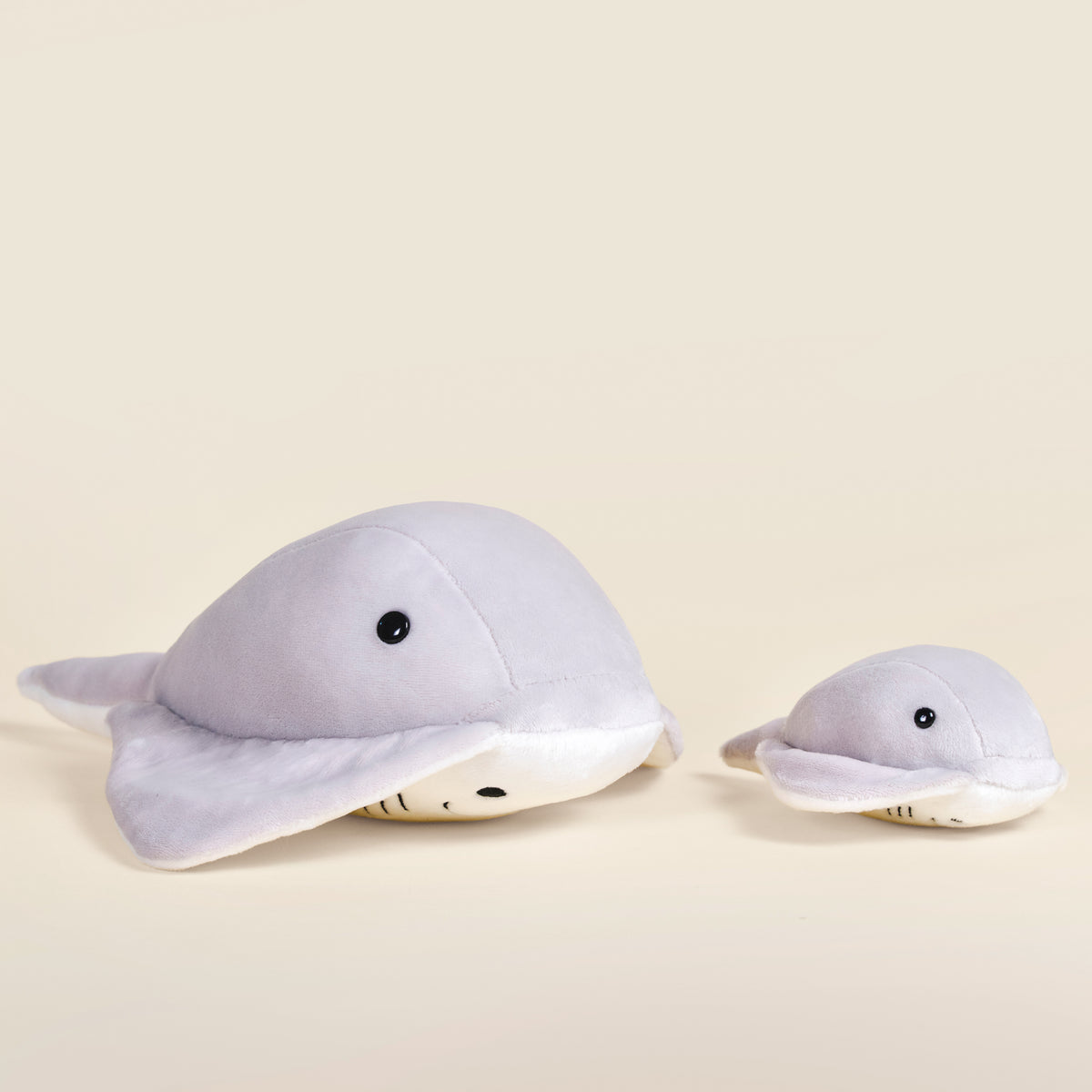 Stingi the Sting Ray