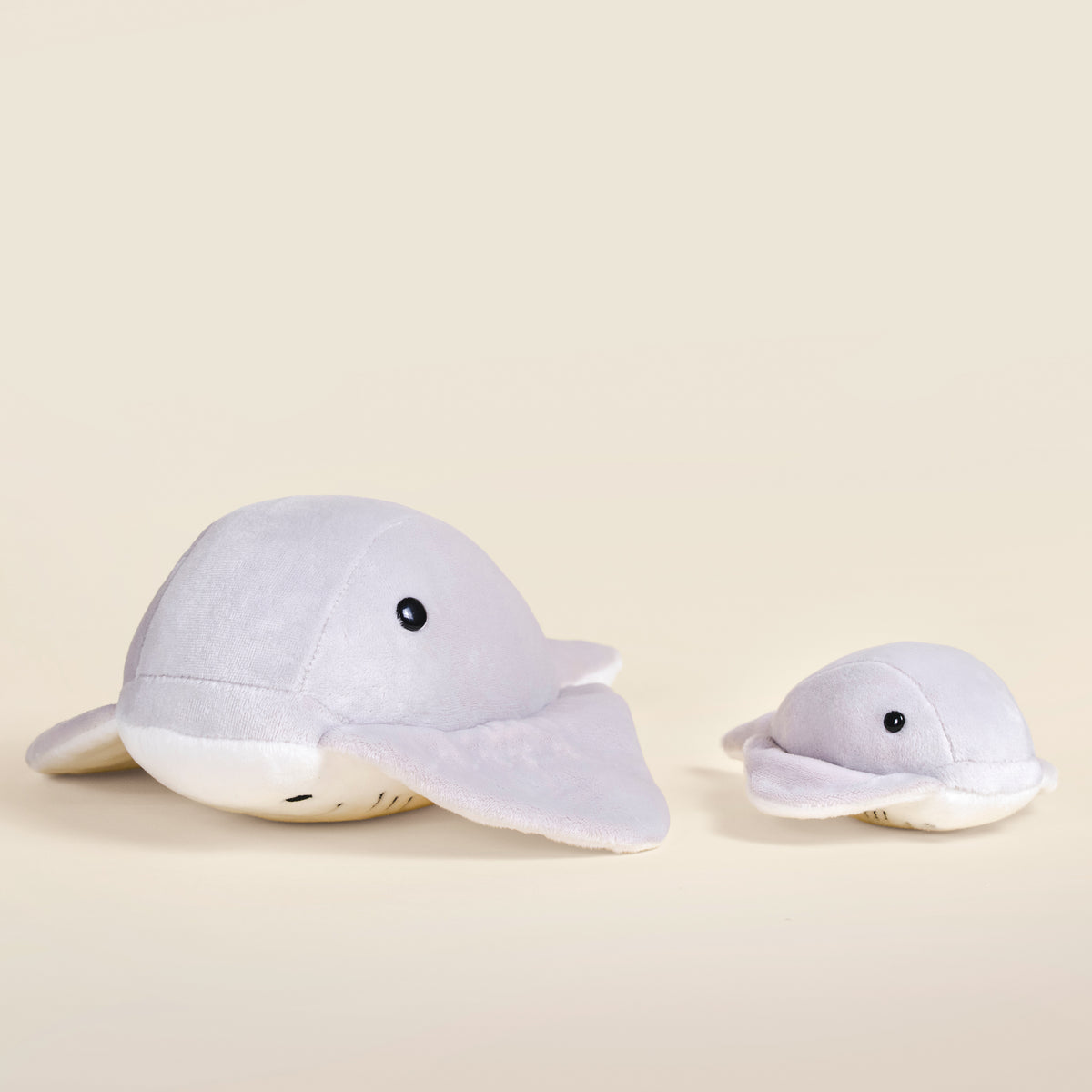 Stingi the Sting Ray