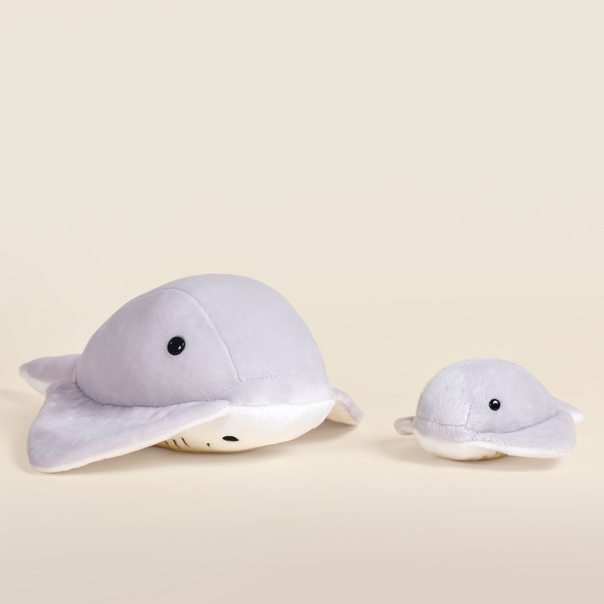Mini Stingi the Sting Ray