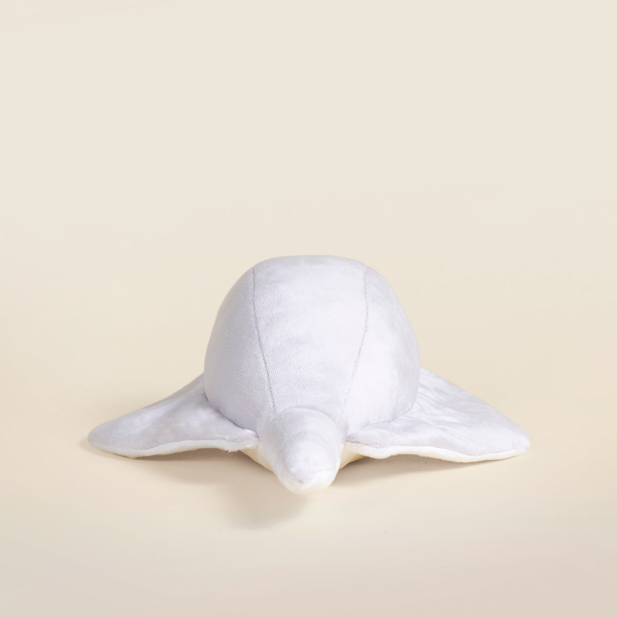 Stingi the Sting Ray