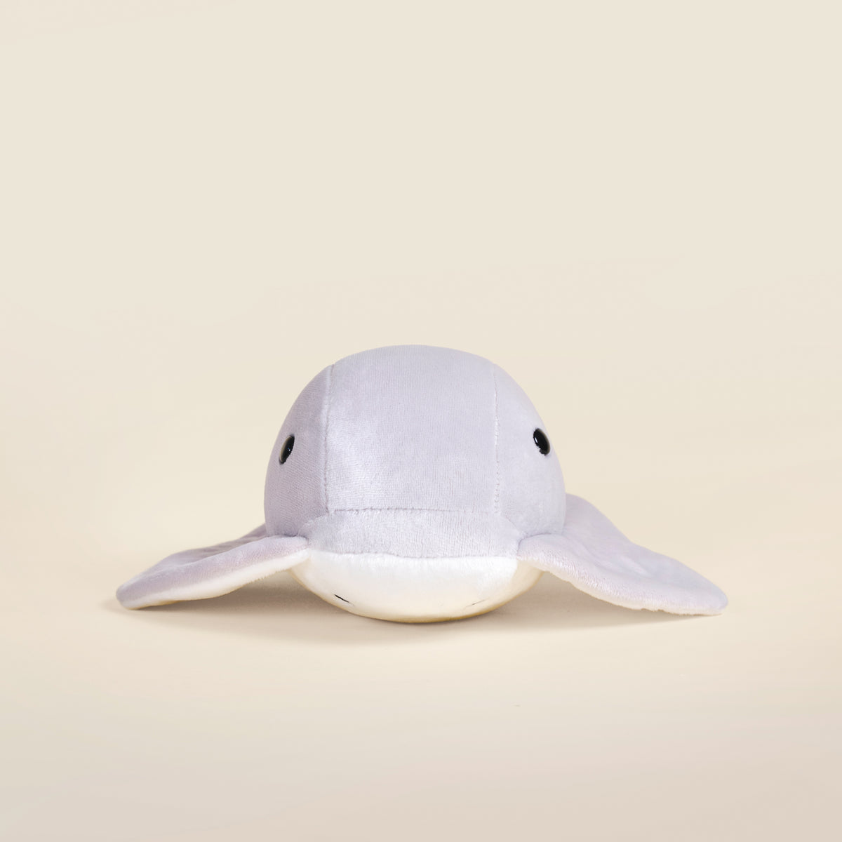 Stingi the Sting Ray