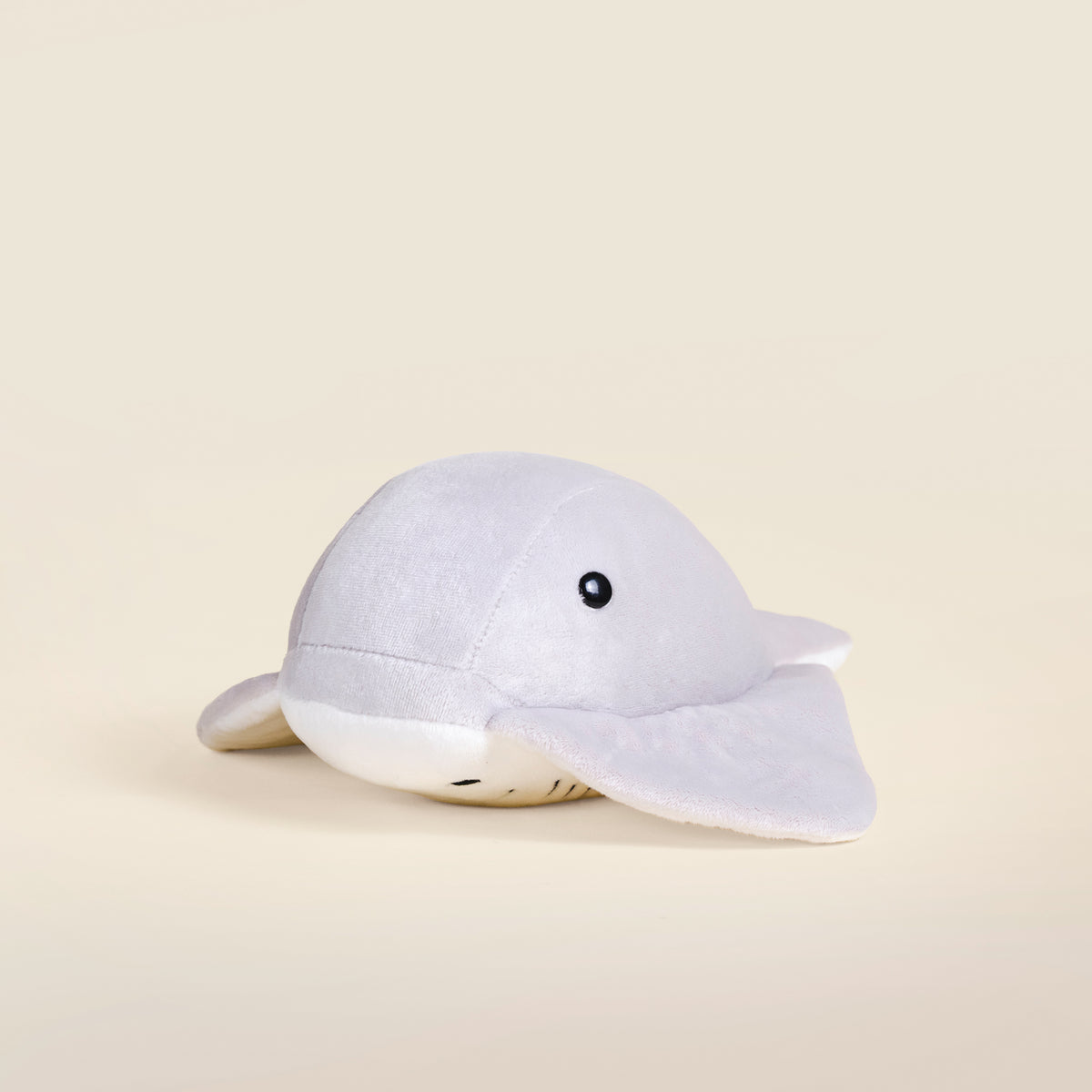 Stingi the Sting Ray