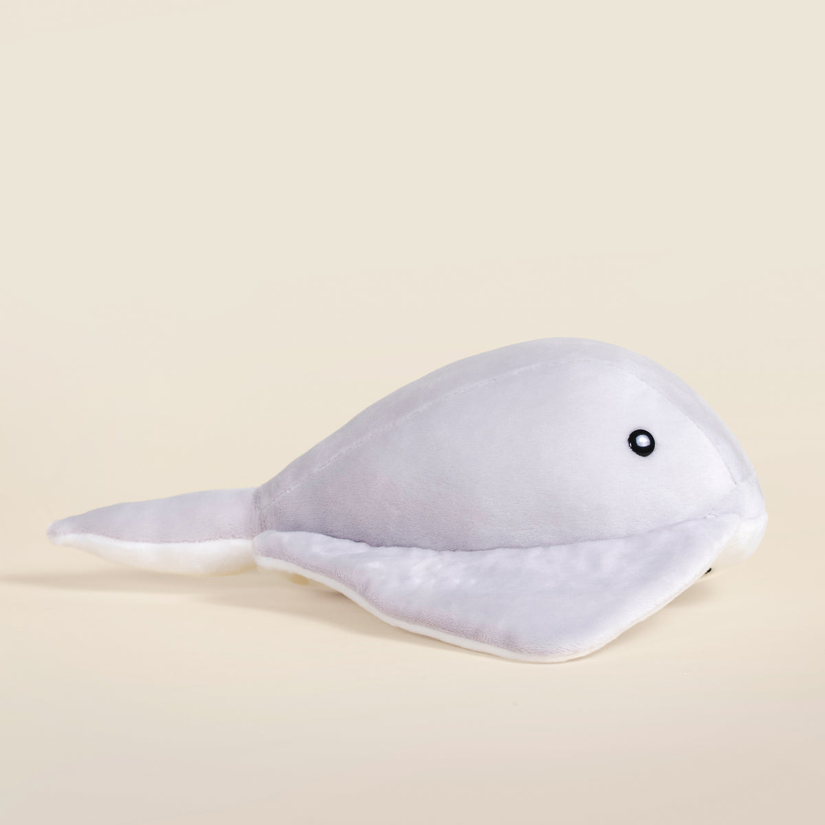 Stingi the Sting Ray